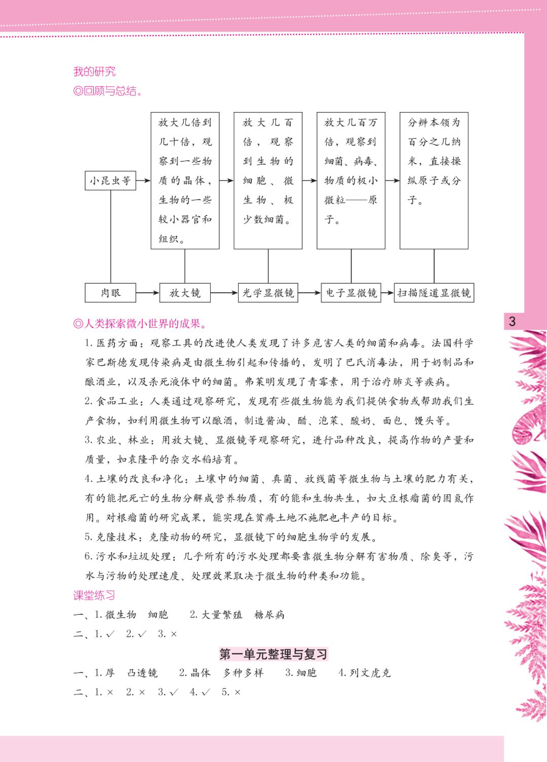 2020年學(xué)習(xí)與鞏固六年級科學(xué)下冊教科版 第3頁