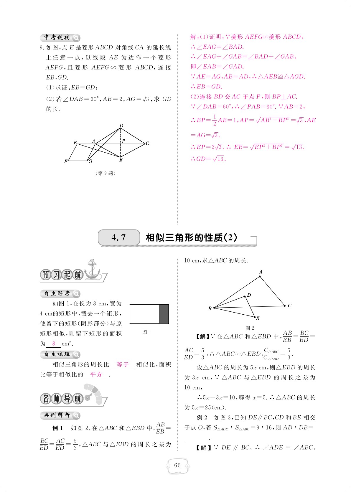 2019年領(lǐng)航新課標(biāo)練習(xí)冊(cè)九年級(jí)數(shù)學(xué)全一冊(cè)北師大版 第66頁(yè)