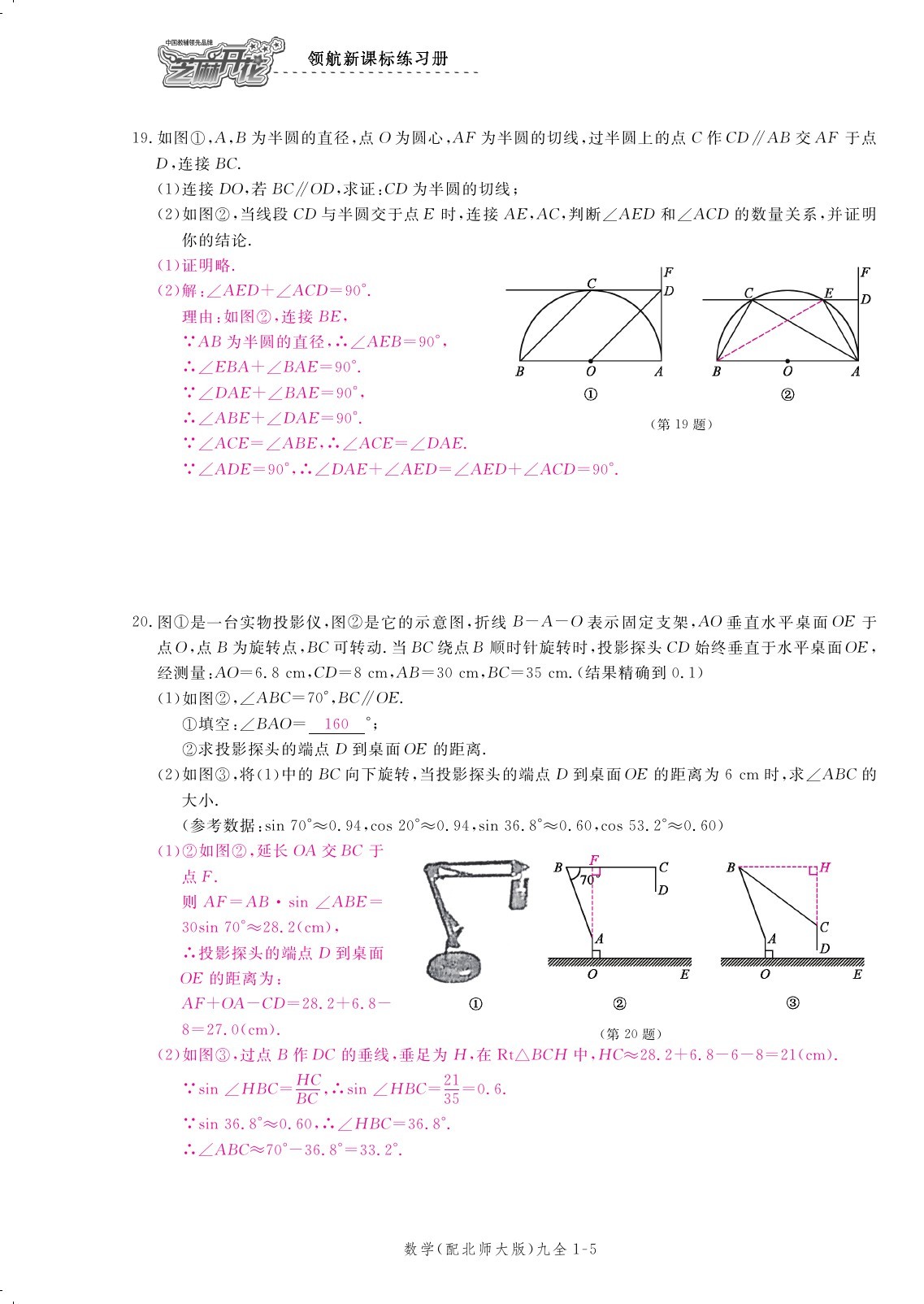 2019年領(lǐng)航新課標(biāo)練習(xí)冊九年級數(shù)學(xué)全一冊北師大版 第175頁