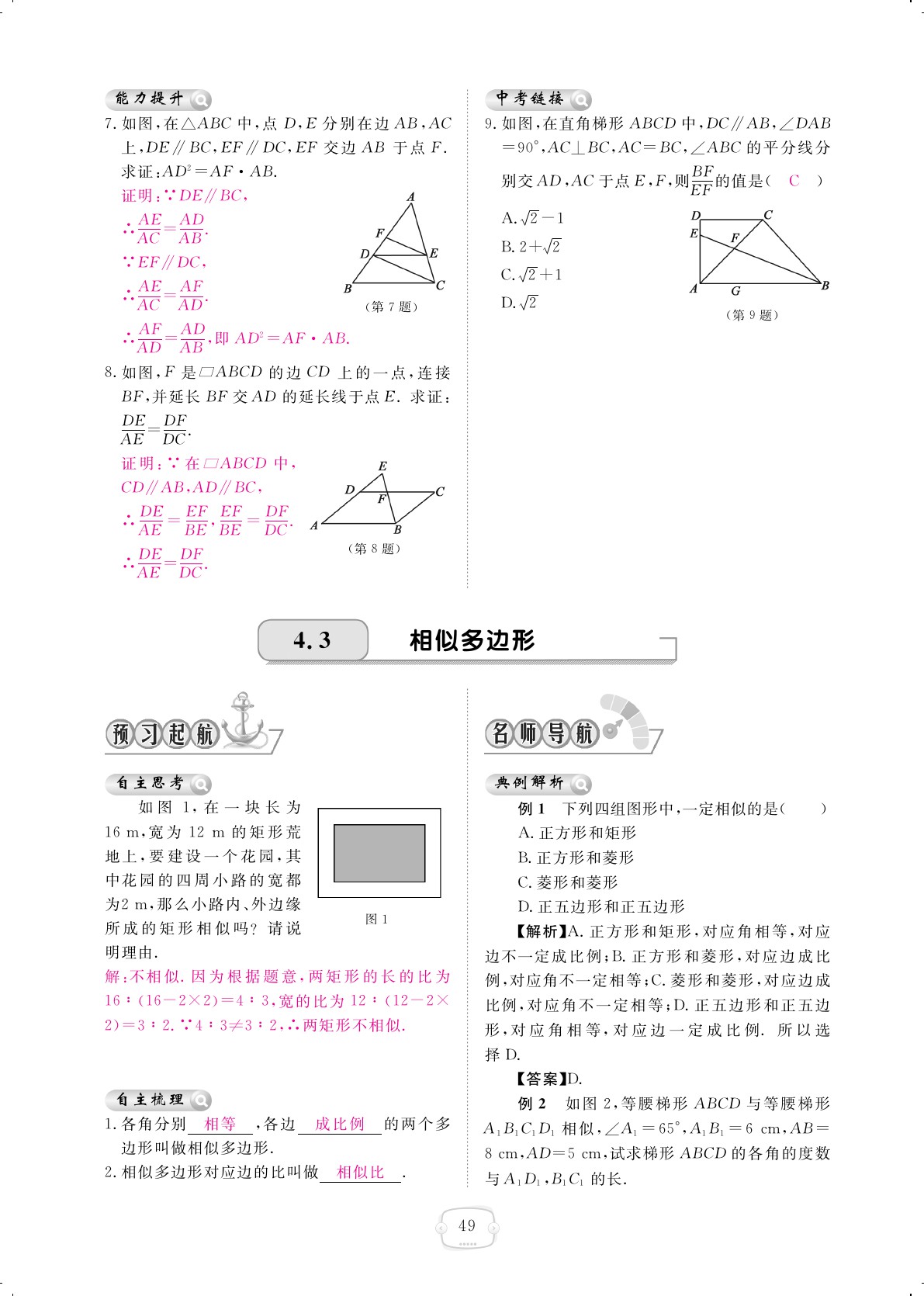 2019年領(lǐng)航新課標(biāo)練習(xí)冊九年級數(shù)學(xué)全一冊北師大版 第49頁