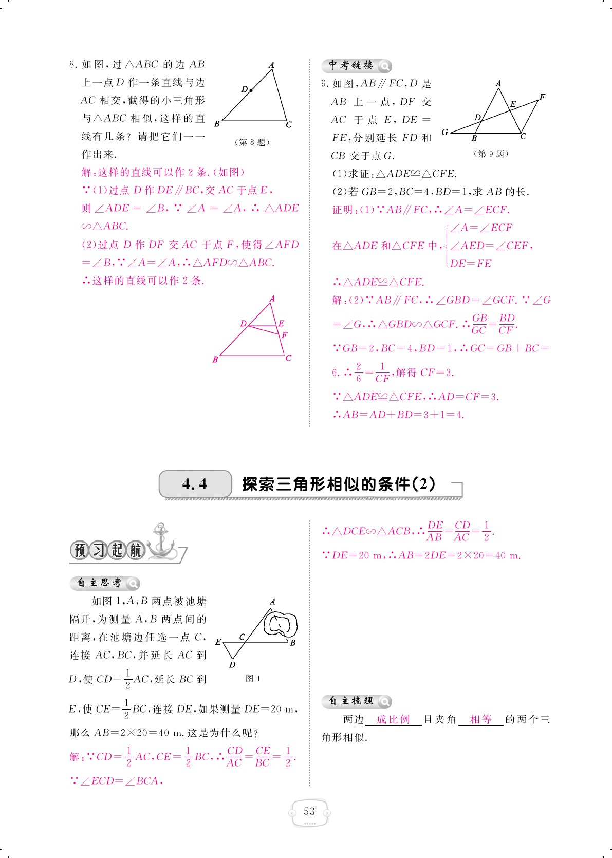 2019年領(lǐng)航新課標(biāo)練習(xí)冊九年級數(shù)學(xué)全一冊北師大版 第53頁