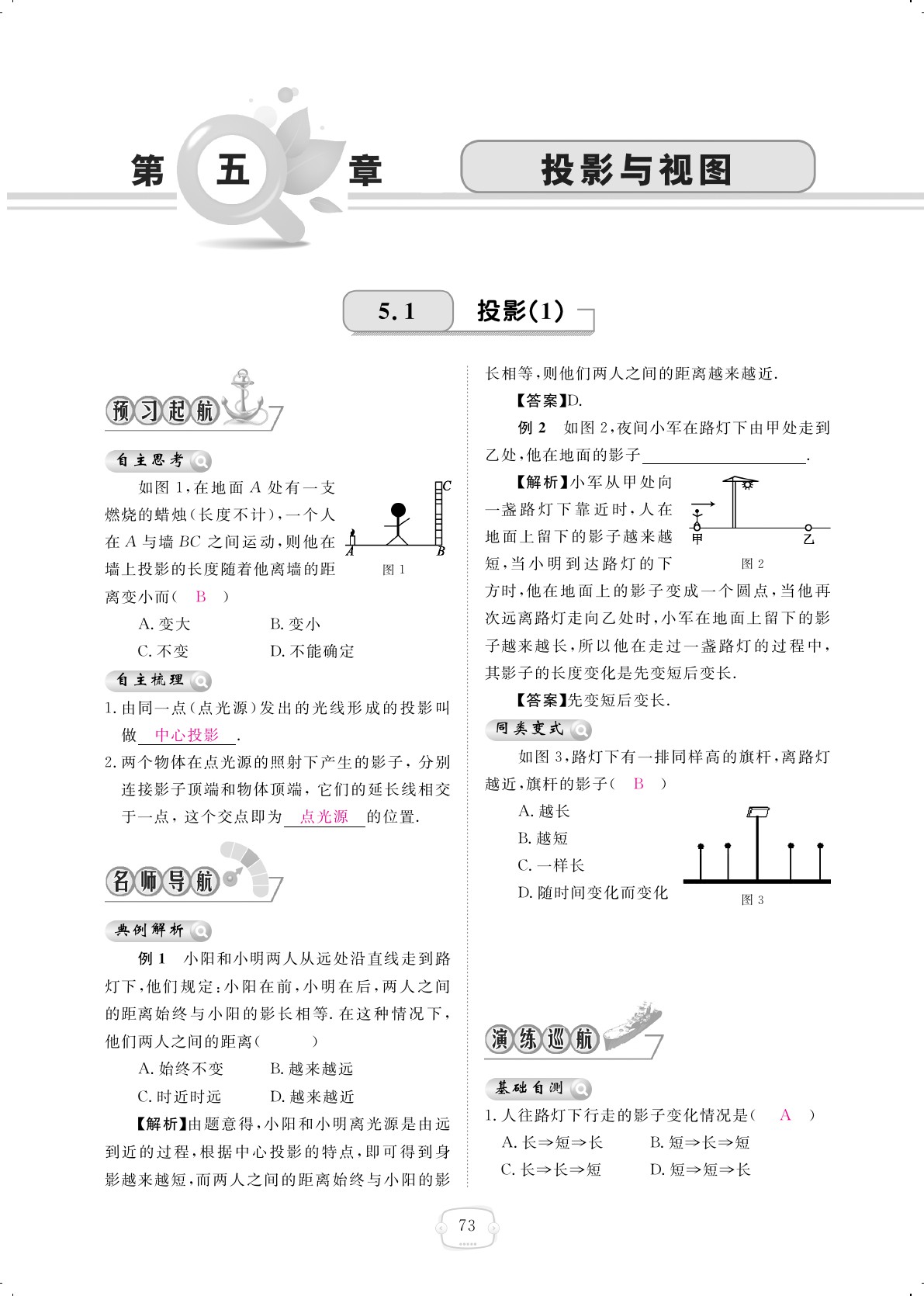 2019年領(lǐng)航新課標練習冊九年級數(shù)學全一冊北師大版 第73頁