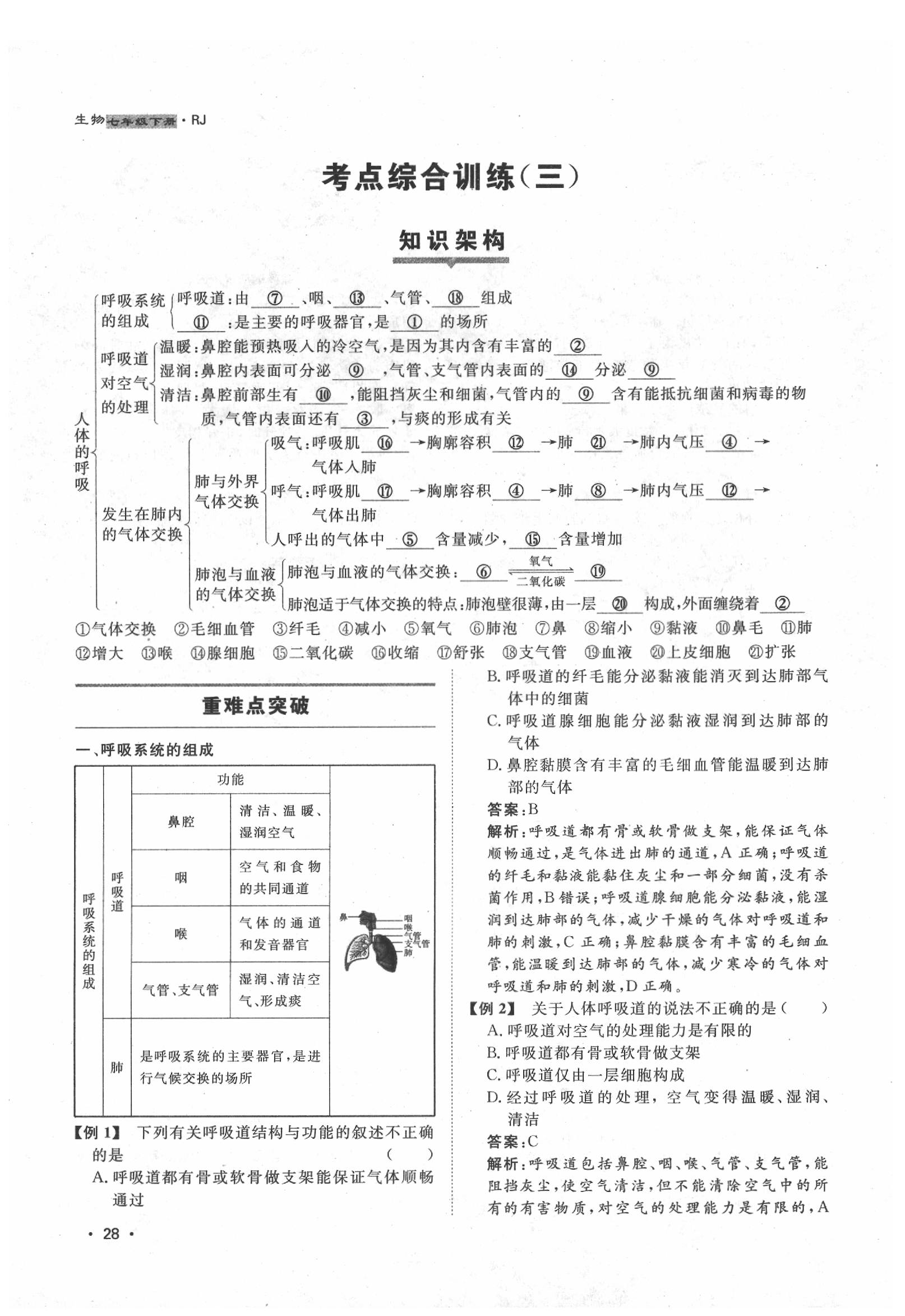 2020年導(dǎo)學(xué)與演練七年級(jí)生物下冊(cè)人教版貴陽(yáng)專(zhuān)版 第28頁(yè)