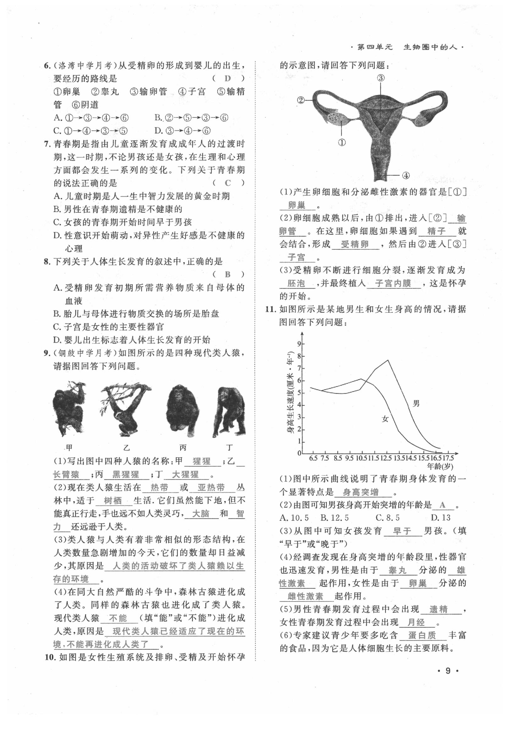 2020年导学与演练七年级生物下册人教版贵阳专版 第9页