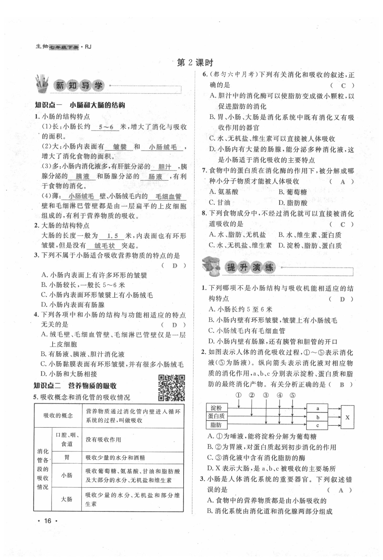 2020年導學與演練七年級生物下冊人教版貴陽專版 第16頁