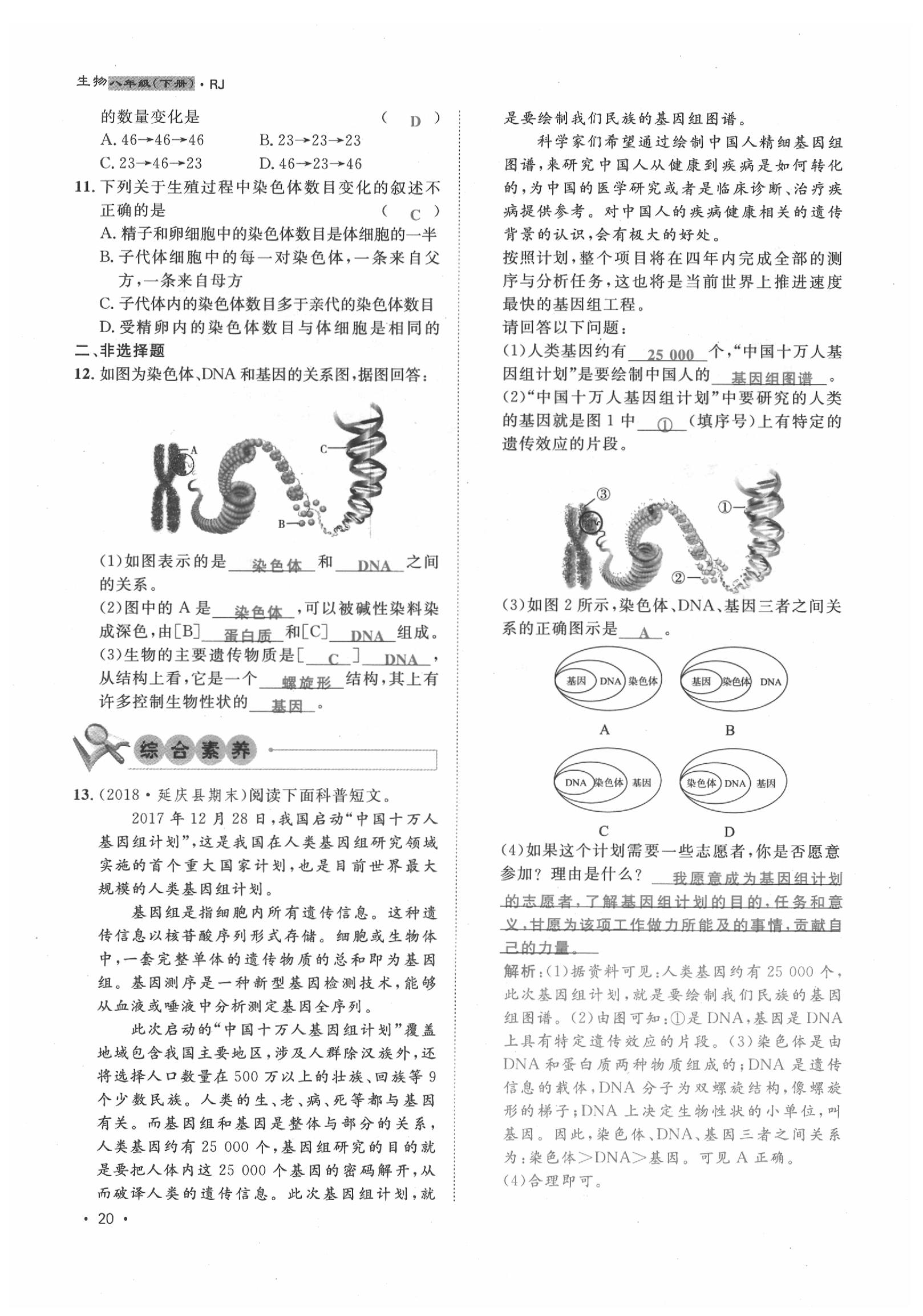 2020年導學與演練八年級生物下冊人教版貴陽專版 第20頁