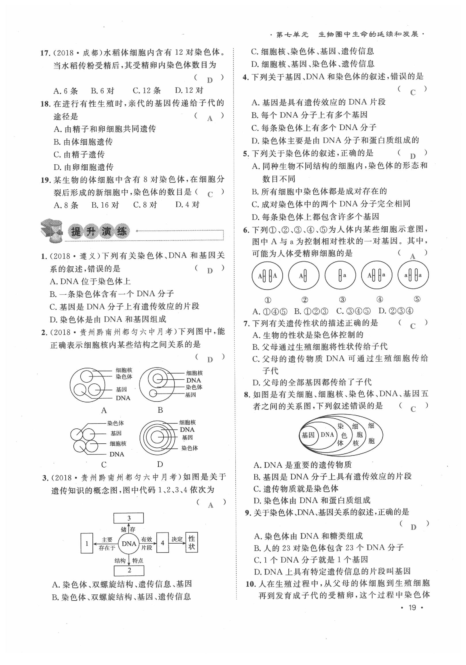 2020年導(dǎo)學(xué)與演練八年級生物下冊人教版貴陽專版 第19頁