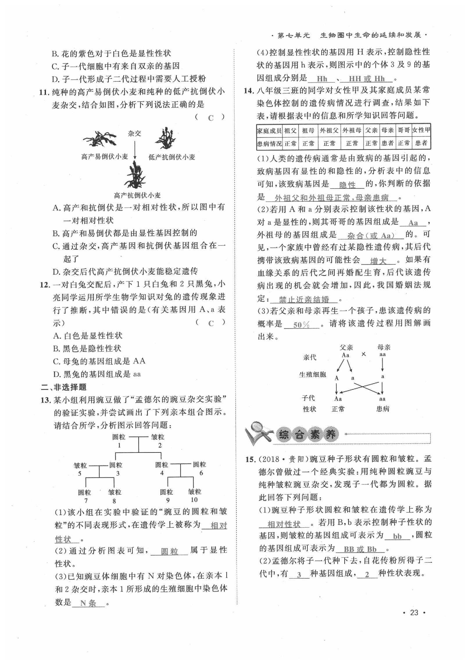 2020年導(dǎo)學(xué)與演練八年級(jí)生物下冊(cè)人教版貴陽(yáng)專版 第23頁(yè)