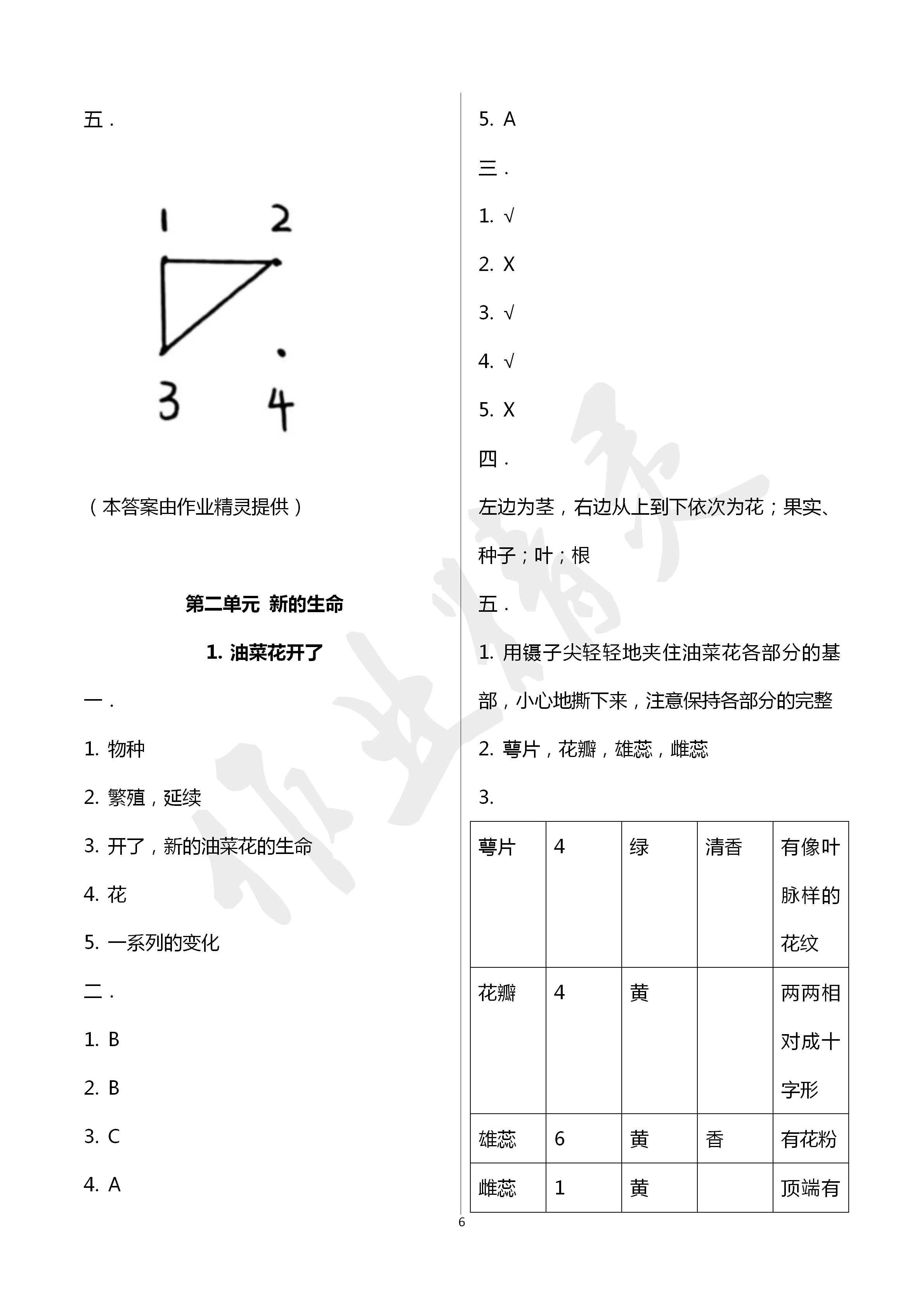 2020年云南省標(biāo)準(zhǔn)教輔同步指導(dǎo)訓(xùn)練與檢測四年級科學(xué)下冊教科版 第6頁