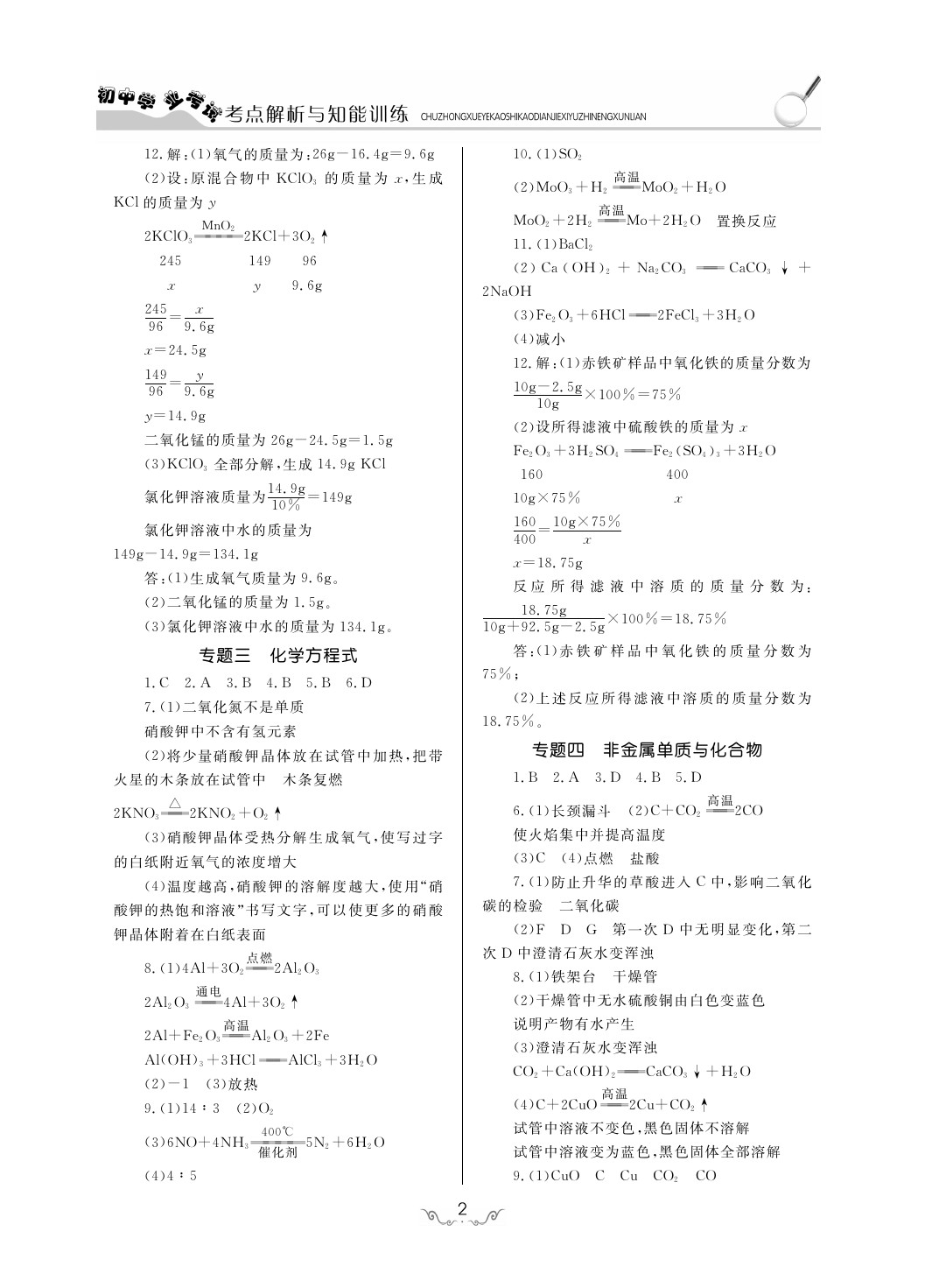 2020年考点解析与知能训练九年级化学下册人教版 第2页