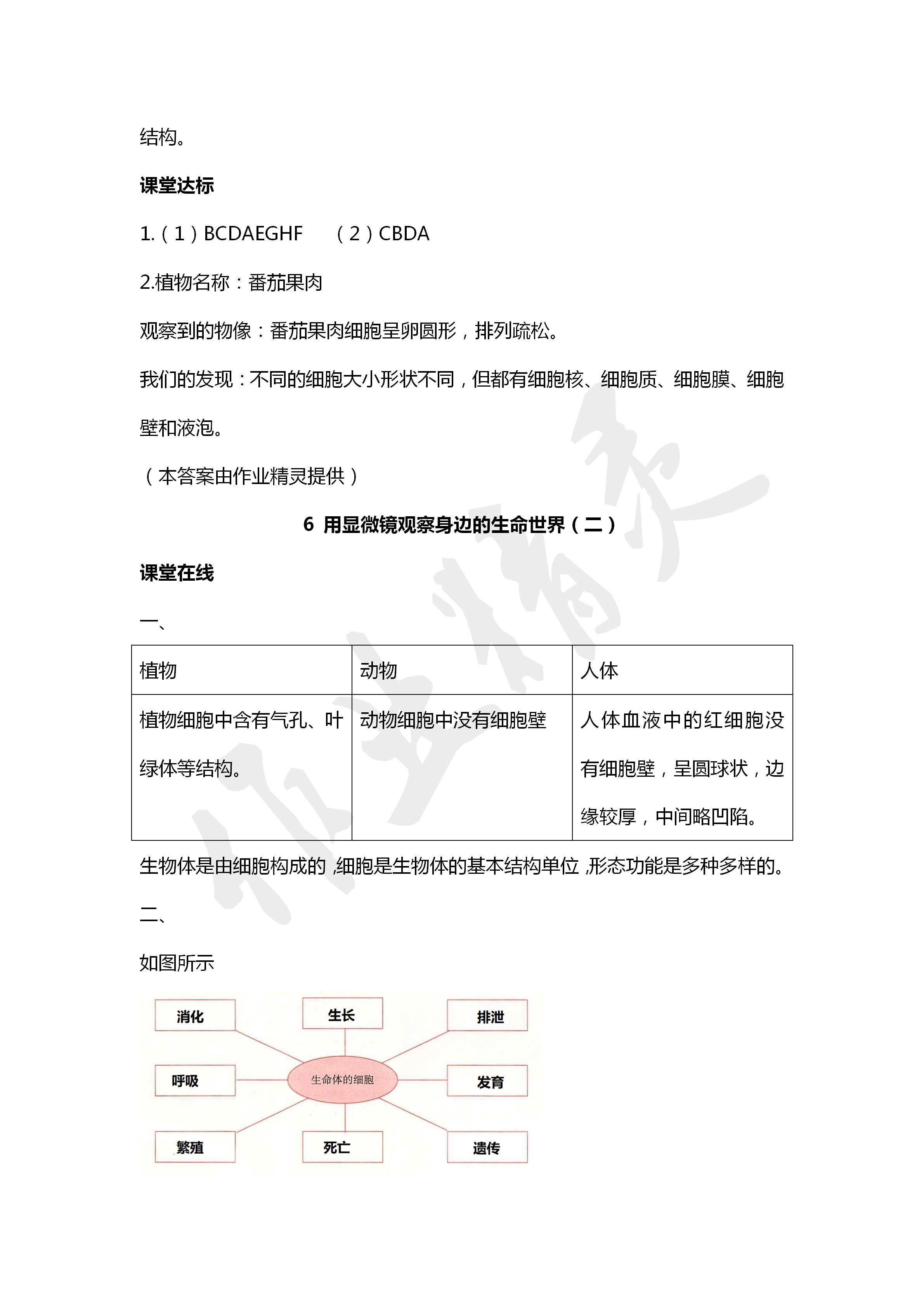 2020年科学学生活动手册六年级下册教科版 第6页