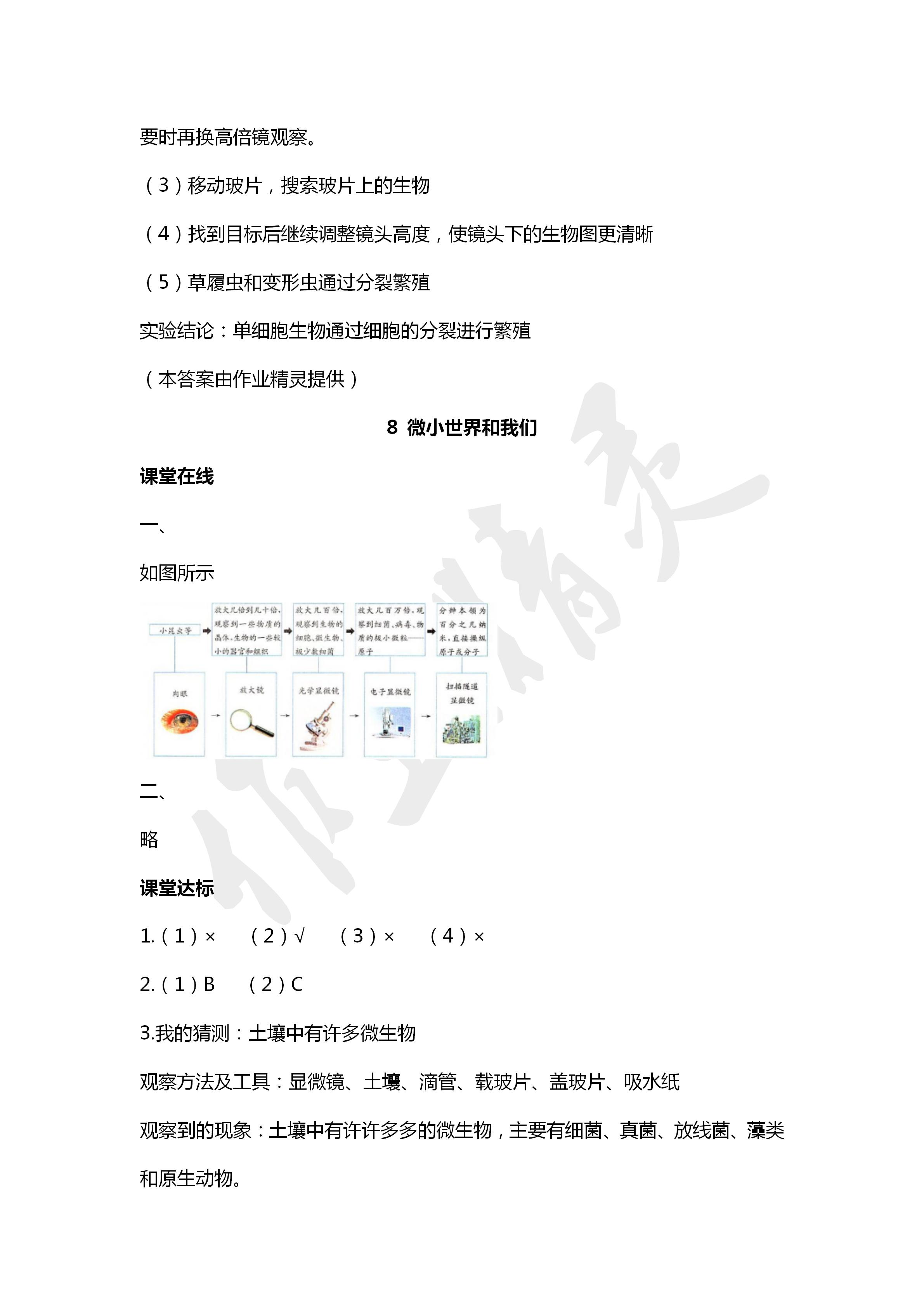 2020年科学学生活动手册六年级下册教科版 第8页