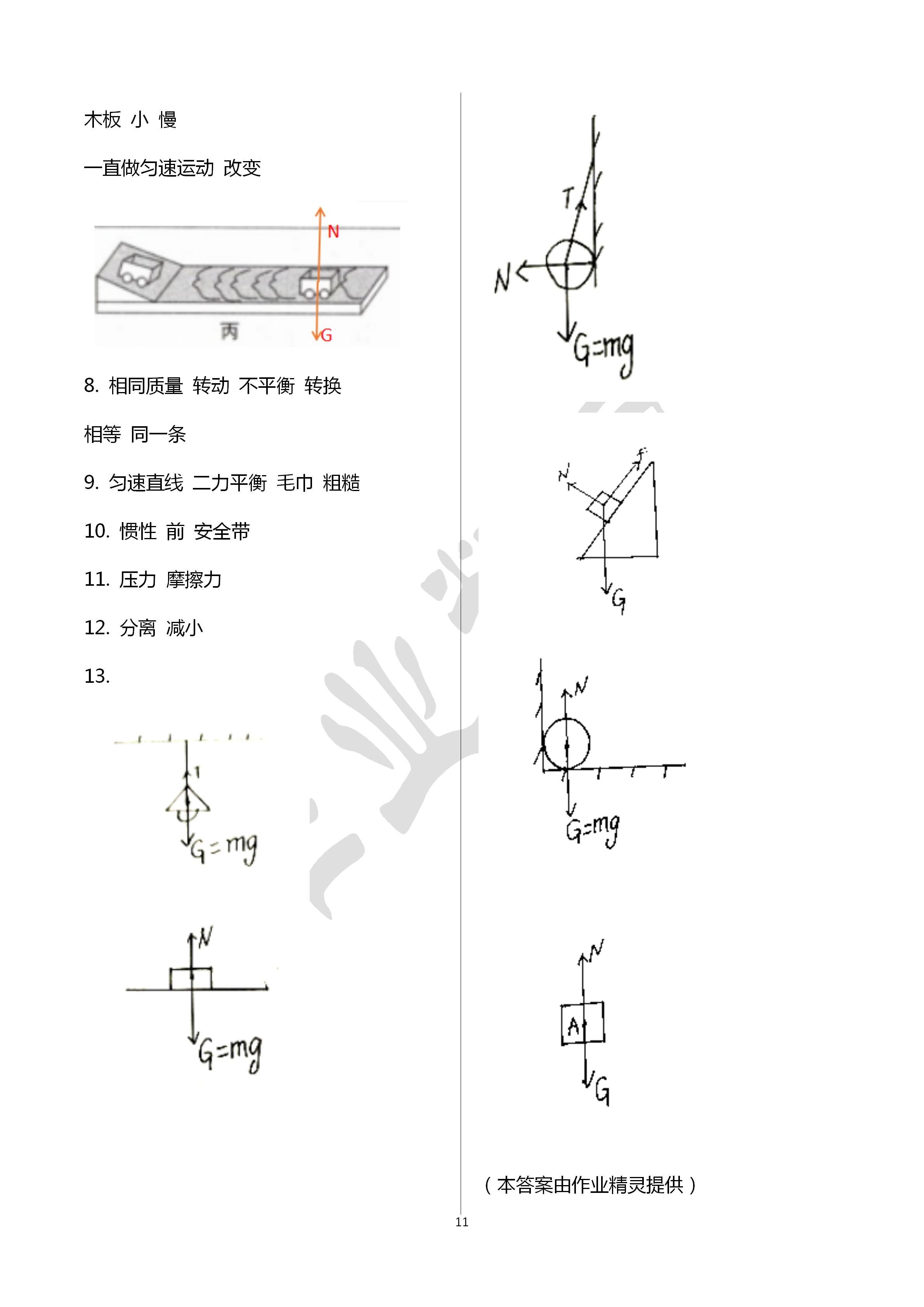 2020年初中畢業(yè)升學(xué)復(fù)習(xí)指導(dǎo)物理 第11頁
