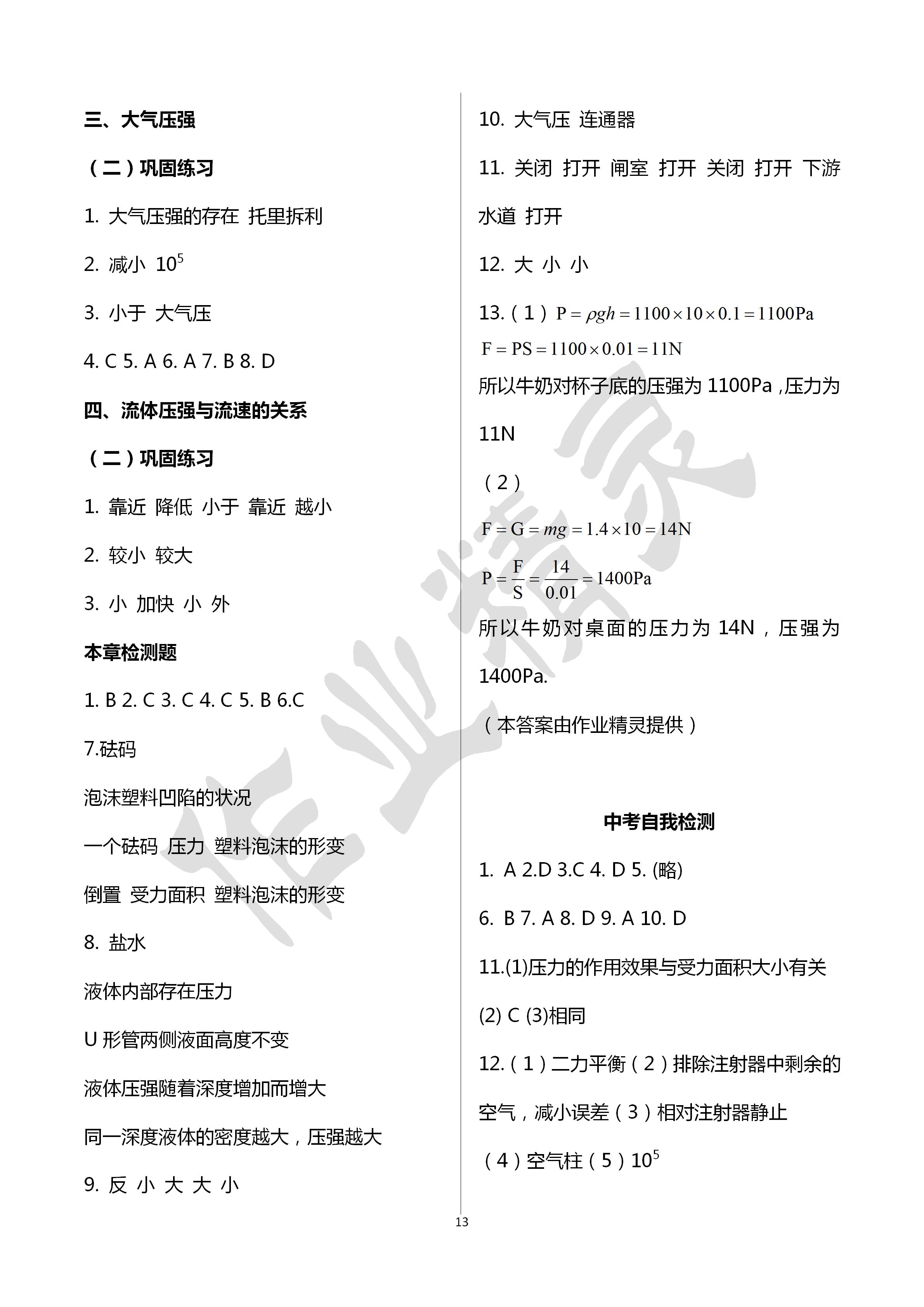 2020年初中畢業(yè)升學(xué)復(fù)習(xí)指導(dǎo)物理 第13頁