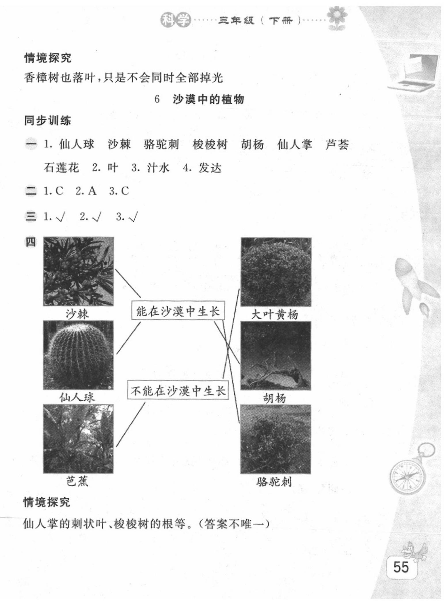 2020年基礎(chǔ)訓(xùn)練三年級(jí)科學(xué)下冊(cè)蘇教版 第4頁