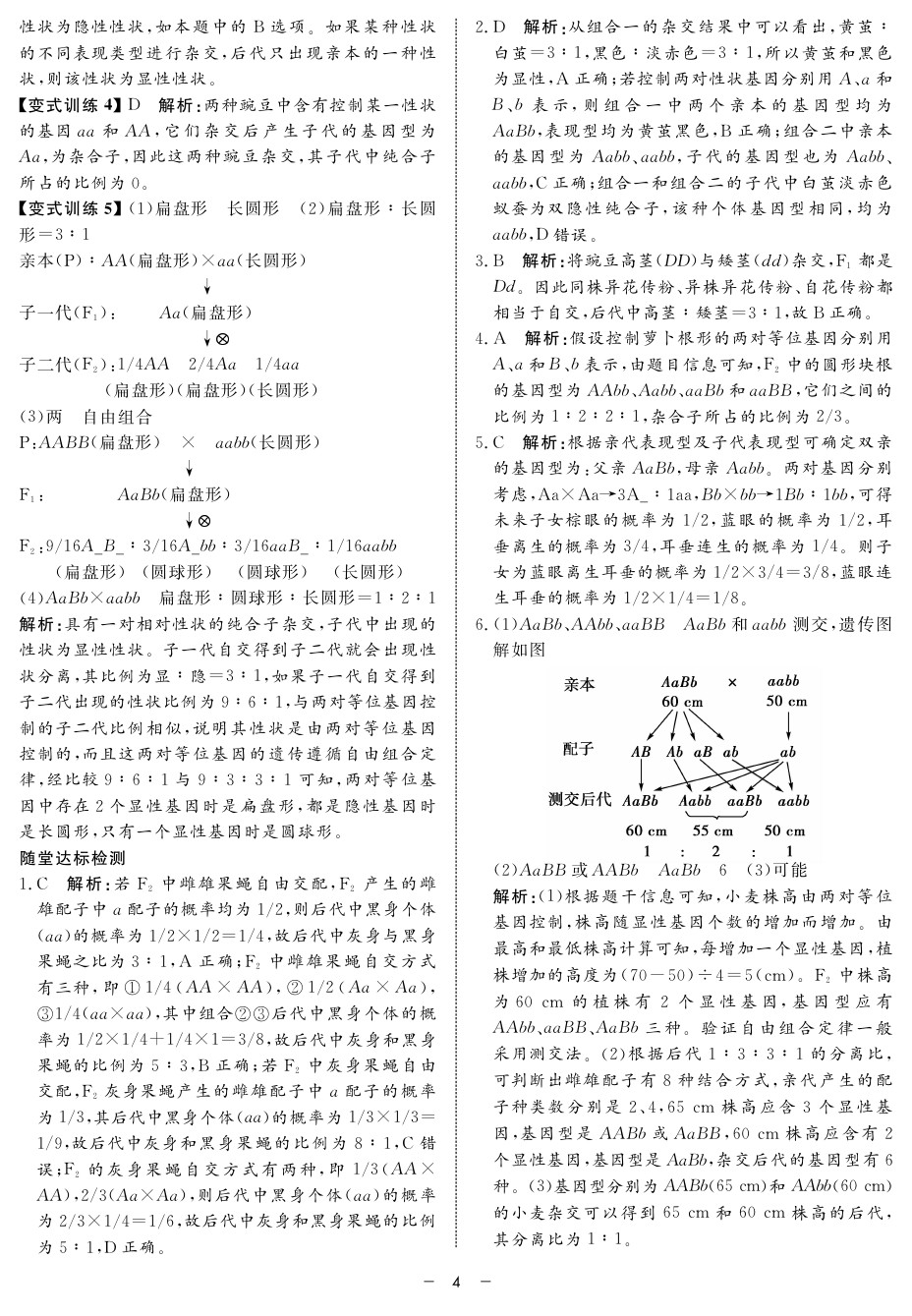 2020年鐘書金牌金典導學案高一科學下冊人教版 第4頁