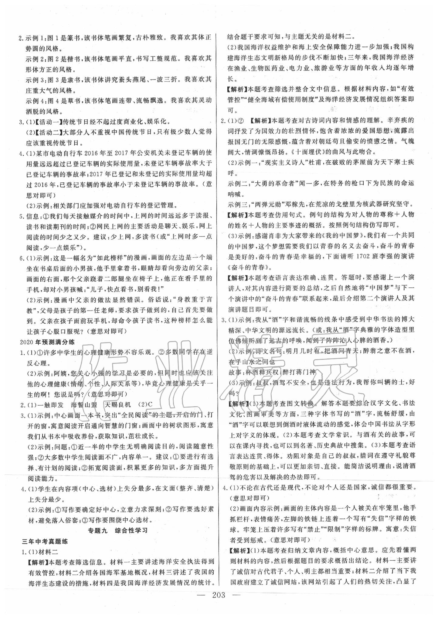 2020年中考調(diào)研中考考點(diǎn)完全解讀語文 第5頁