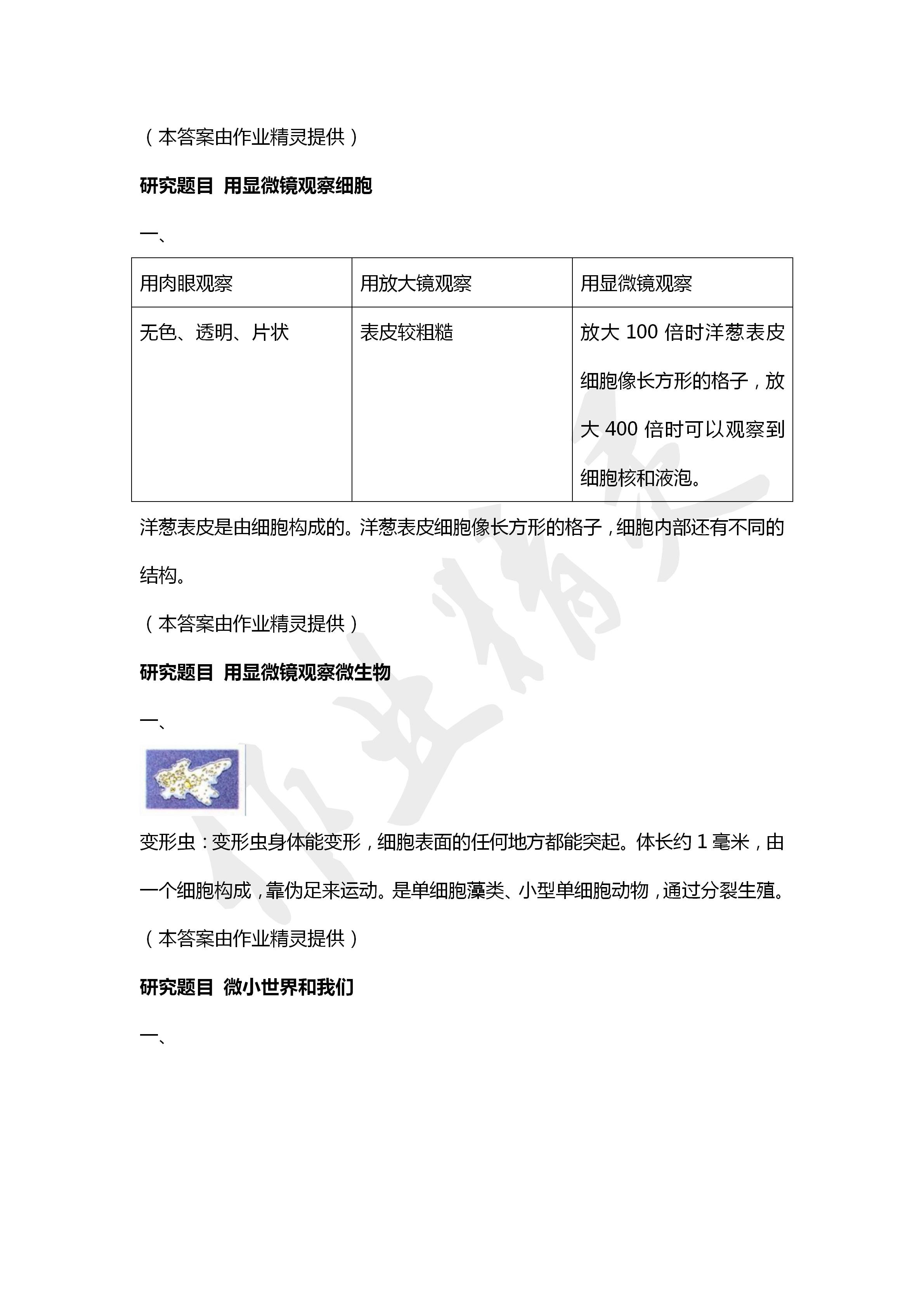 2020年科學(xué)學(xué)生活動(dòng)手冊六年級下冊教科版教育科學(xué)出版社 第4頁