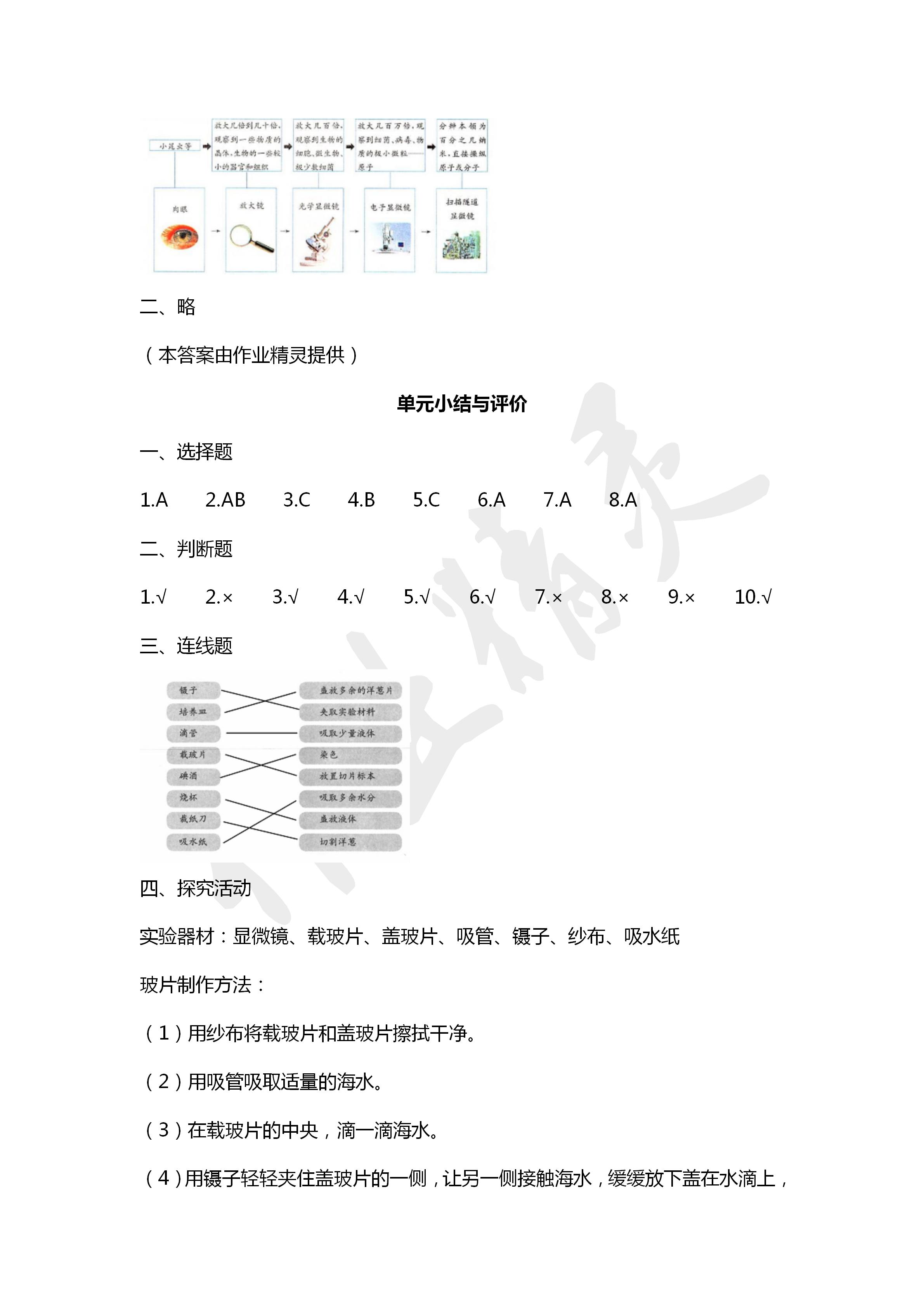 2020年科學學生活動手冊六年級下冊教科版教育科學出版社 第5頁