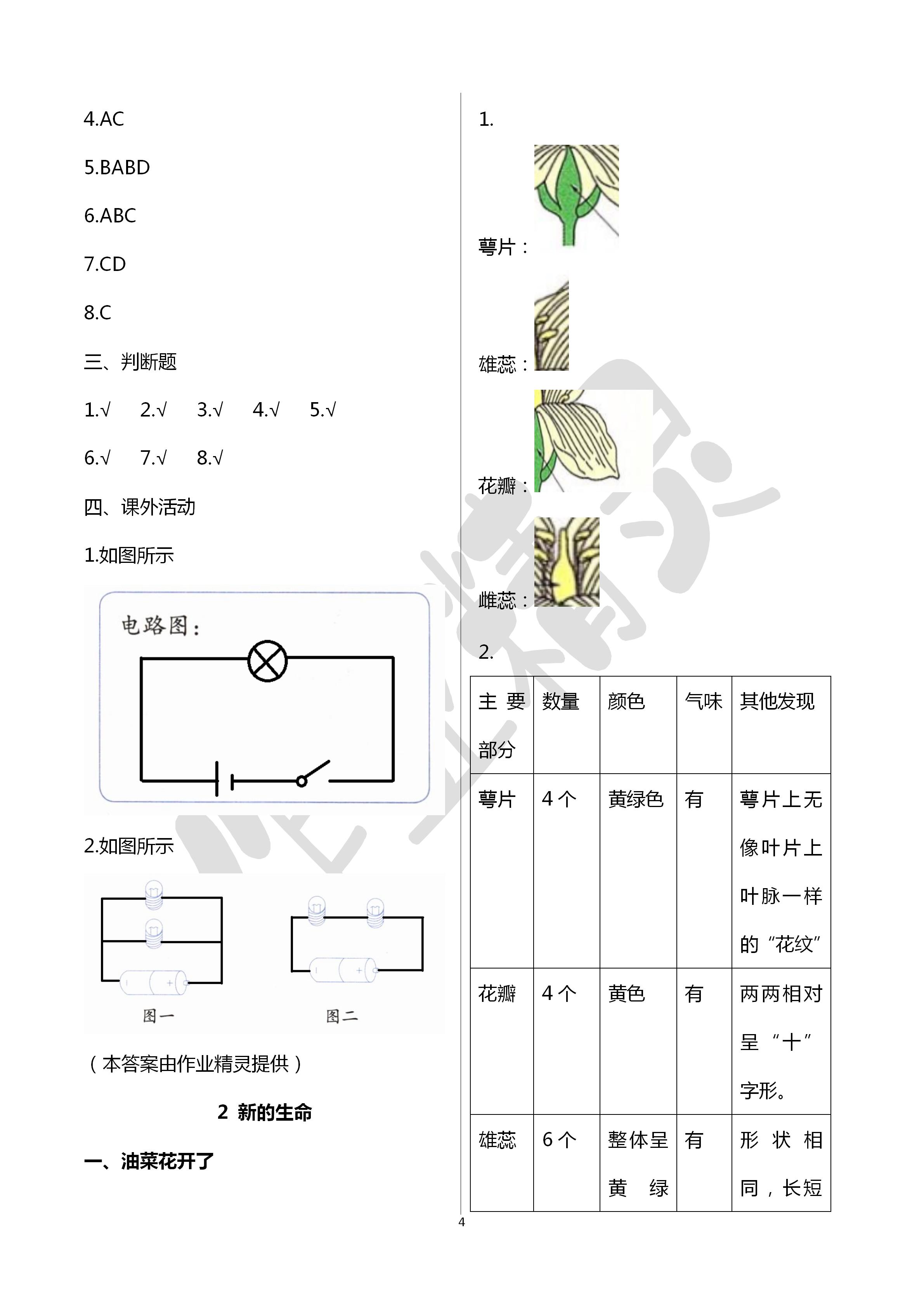 2020年科學(xué)學(xué)生活動(dòng)手冊四年級(jí)下冊教科版教育科學(xué)出版社 第4頁