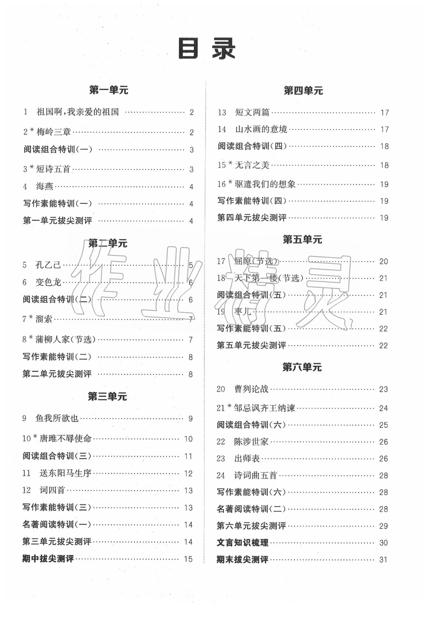 2020年拔尖特訓九年級語文下冊人教版 第1頁