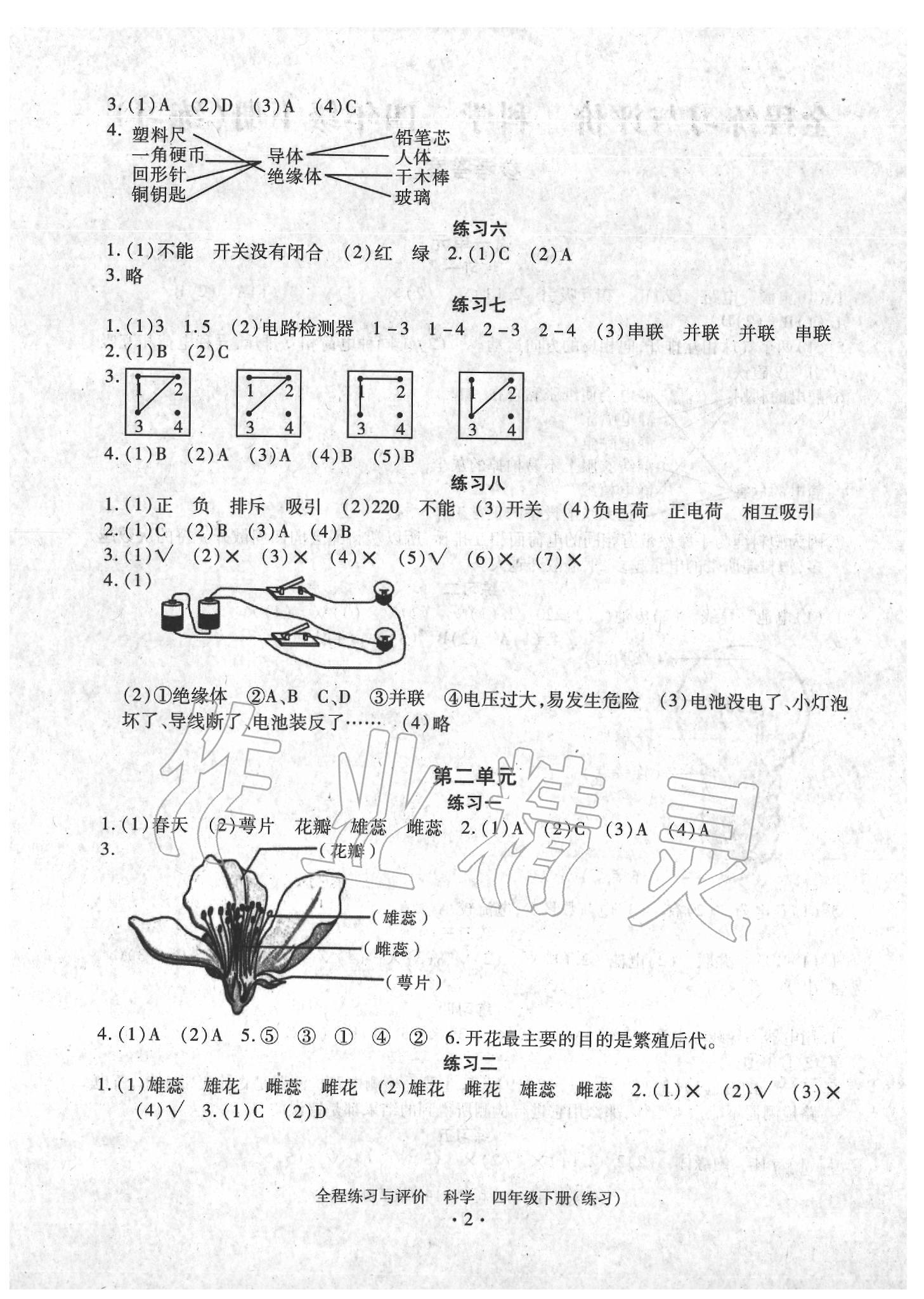 2020年全程练习与评价四年级科学下册教科版 参考答案第2页