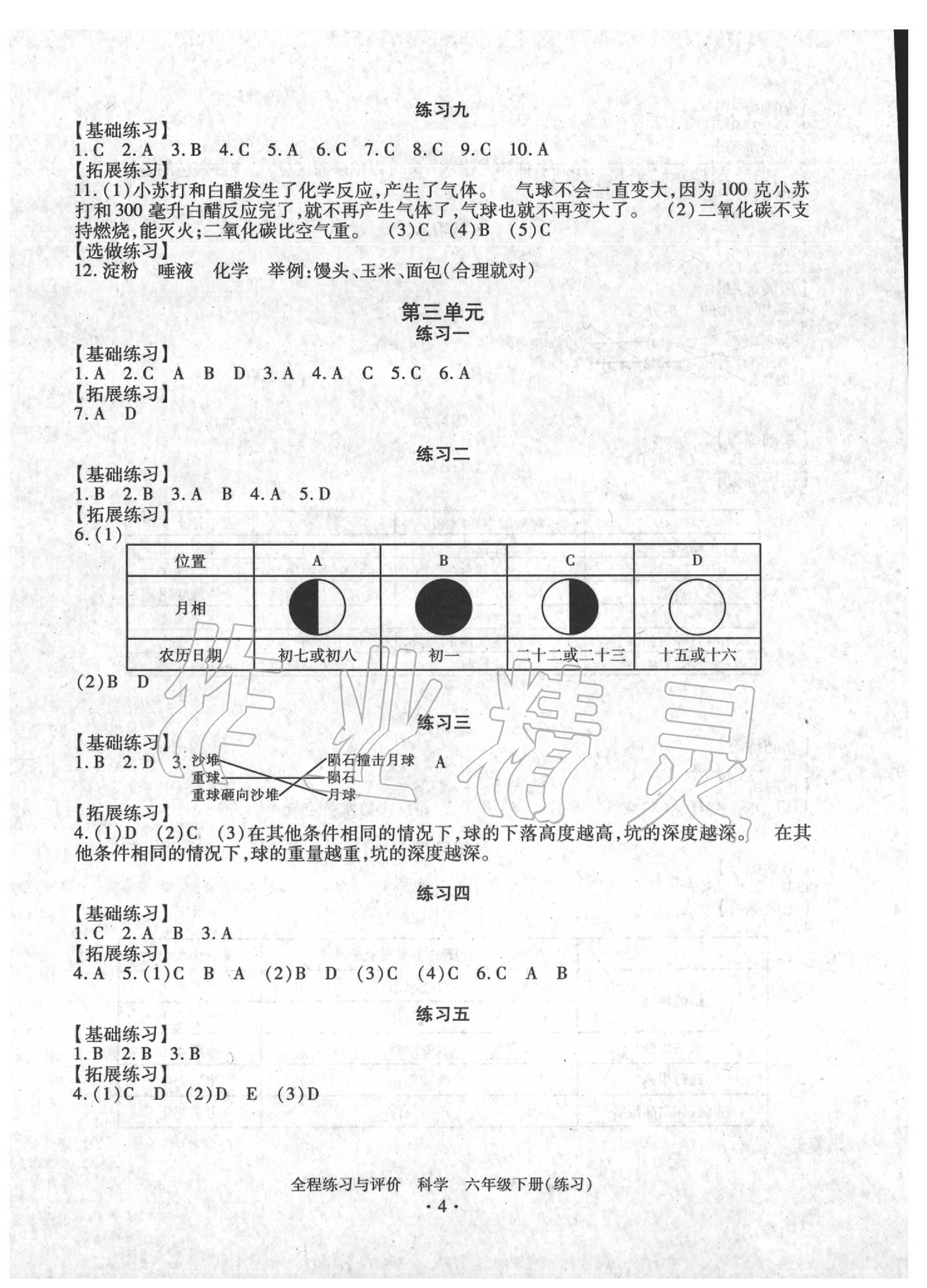 2020年全程练习与评价六年级科学下册教科版 第12页