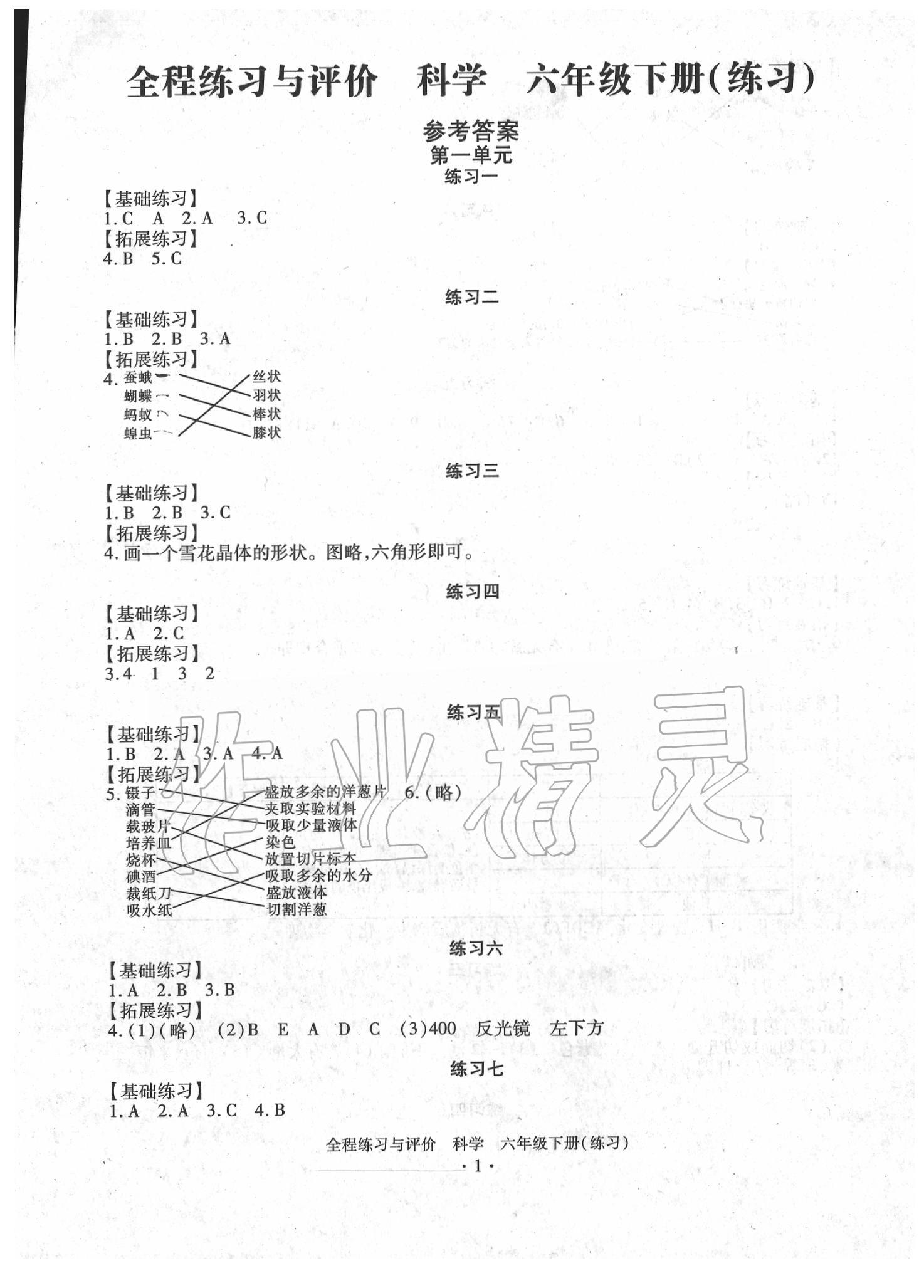 2020年全程練習(xí)與評價六年級科學(xué)下冊教科版 第9頁