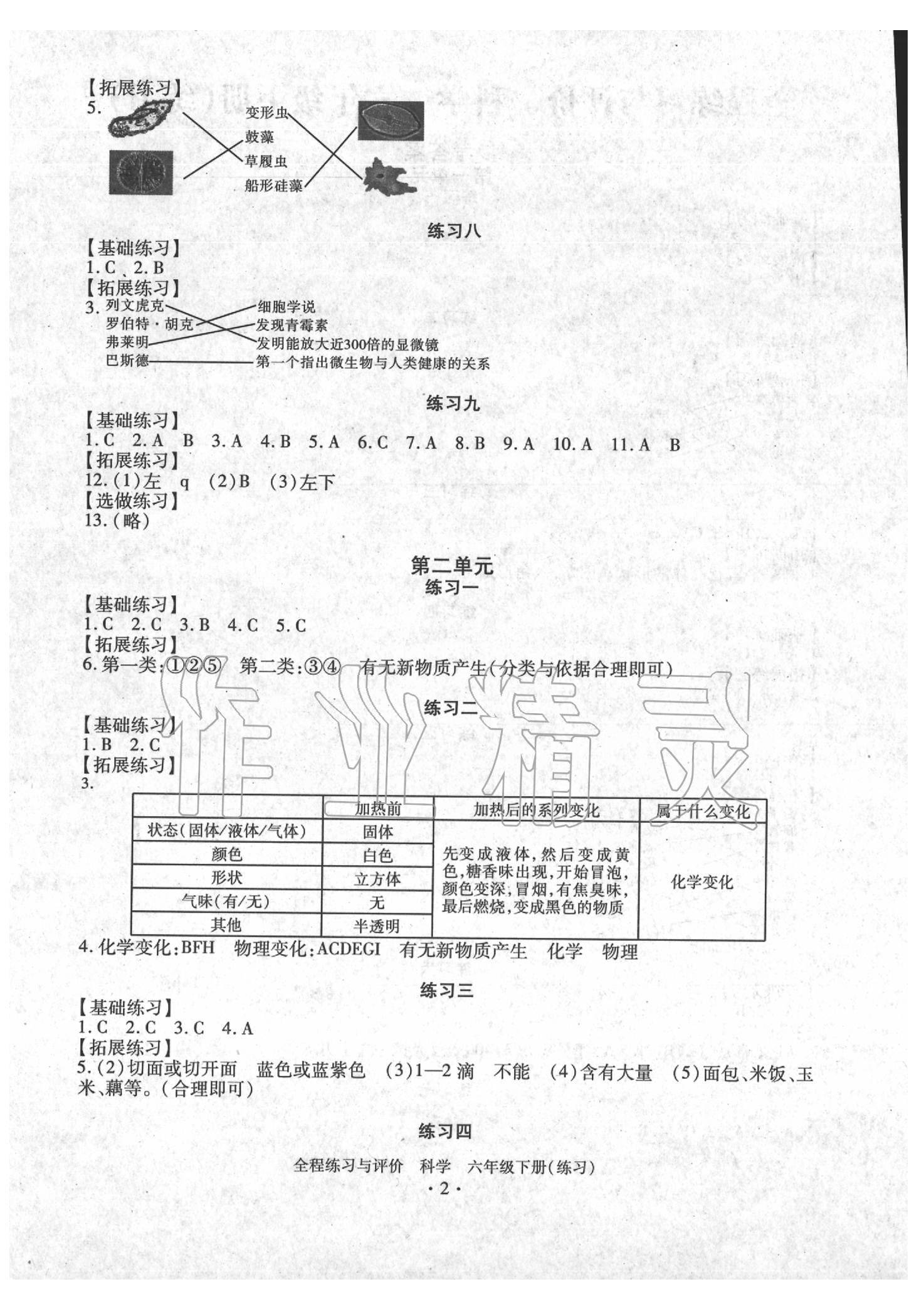 2020年全程練習與評價六年級科學下冊教科版 第10頁