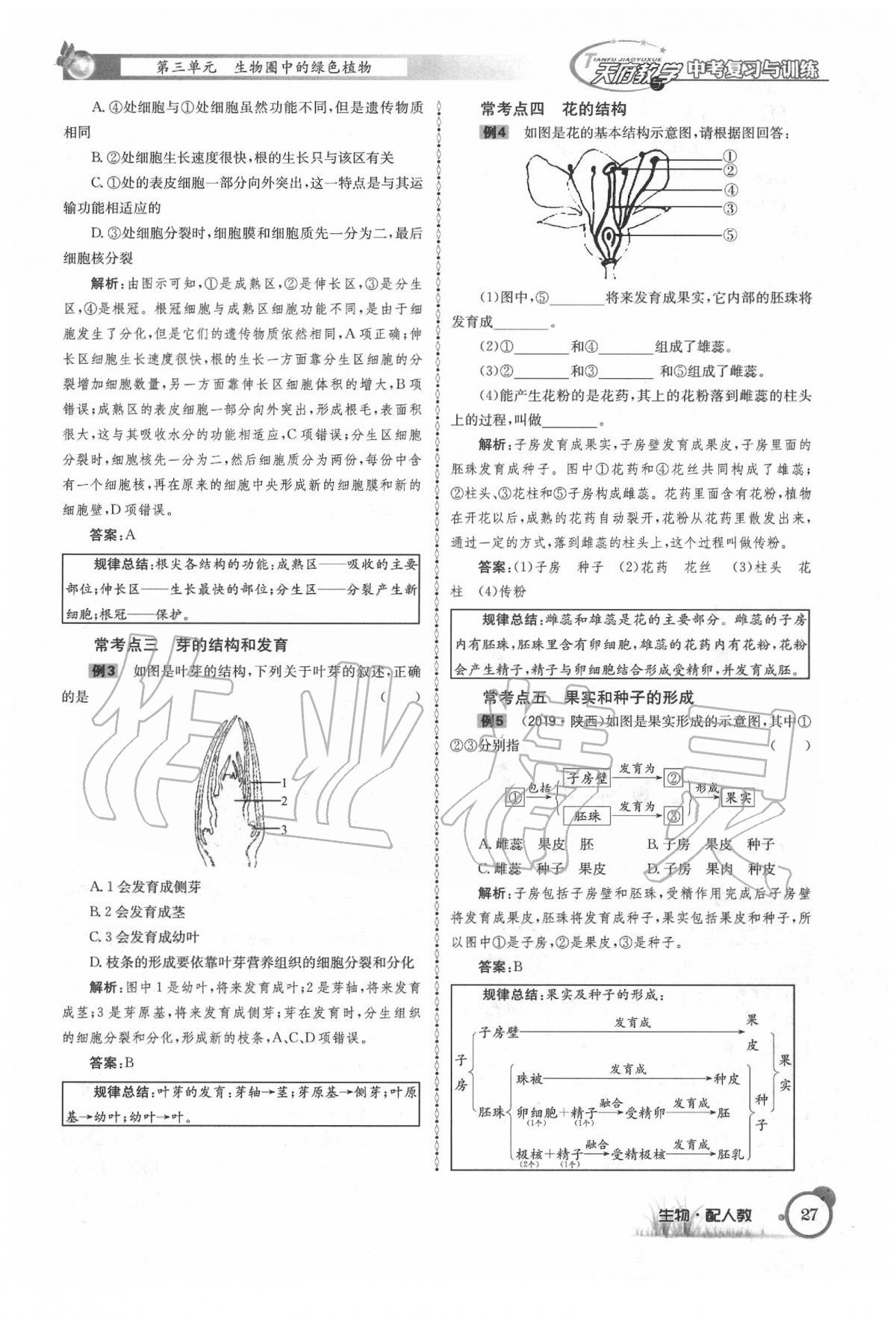 2020年天府教与学四川中考复习与训练生物人教版 第33页