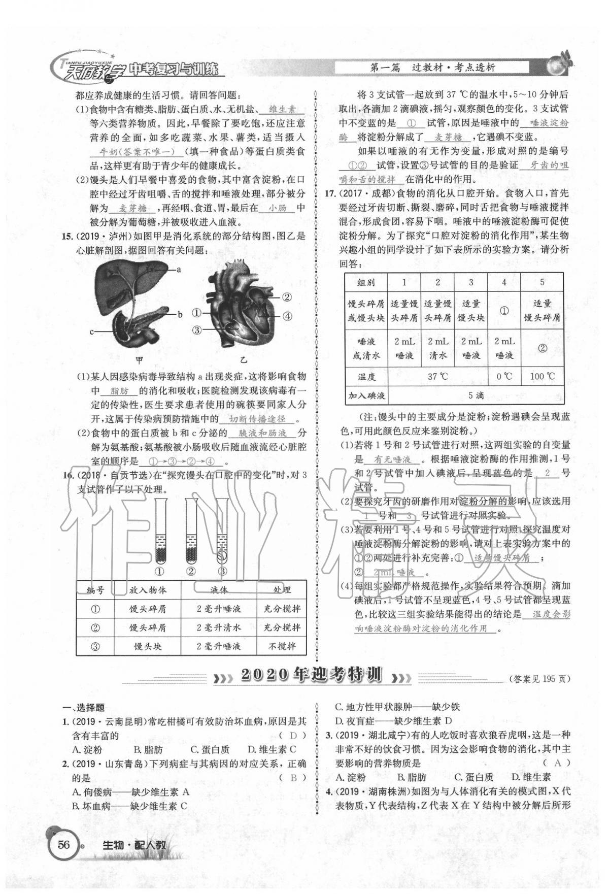 2020年天府教與學(xué)四川中考復(fù)習(xí)與訓(xùn)練生物人教版 第62頁