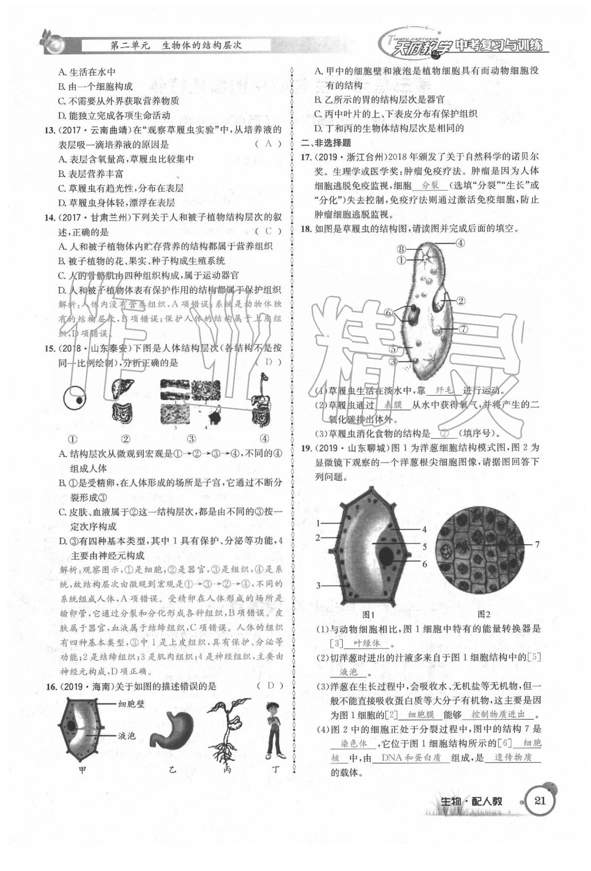 2020年天府教与学四川中考复习与训练生物人教版 第27页