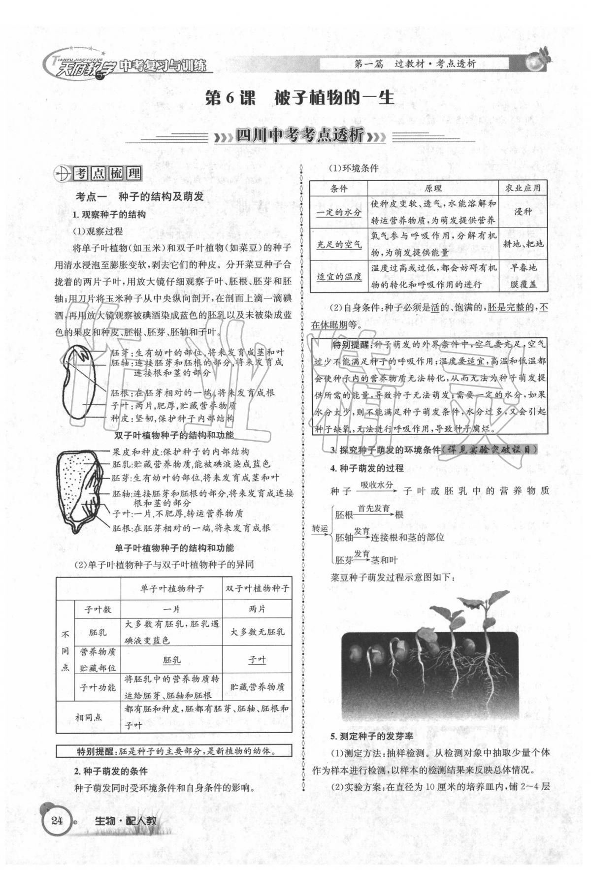 2020年天府教與學(xué)四川中考復(fù)習(xí)與訓(xùn)練生物人教版 第30頁