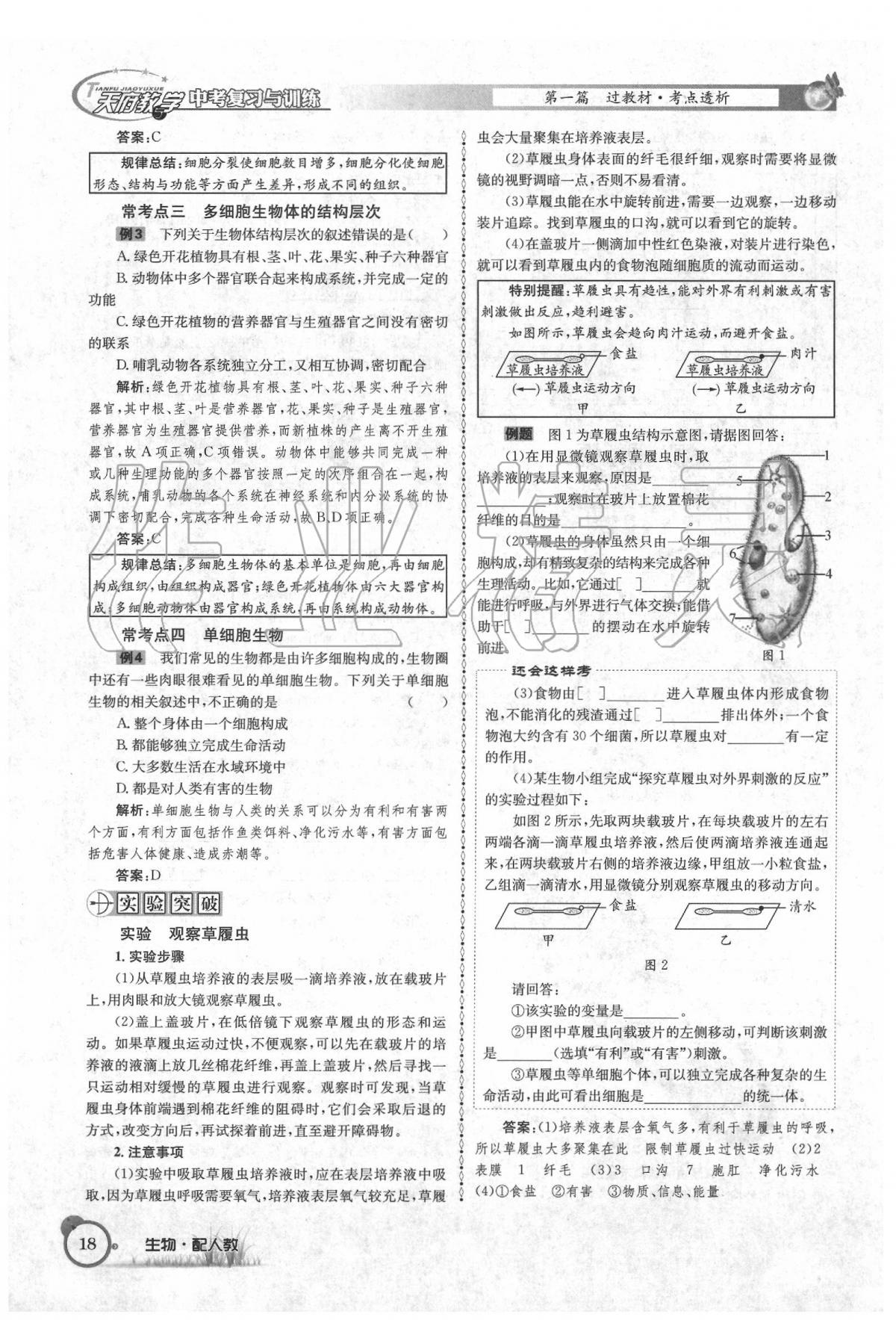 2020年天府教与学四川中考复习与训练生物人教版 第24页