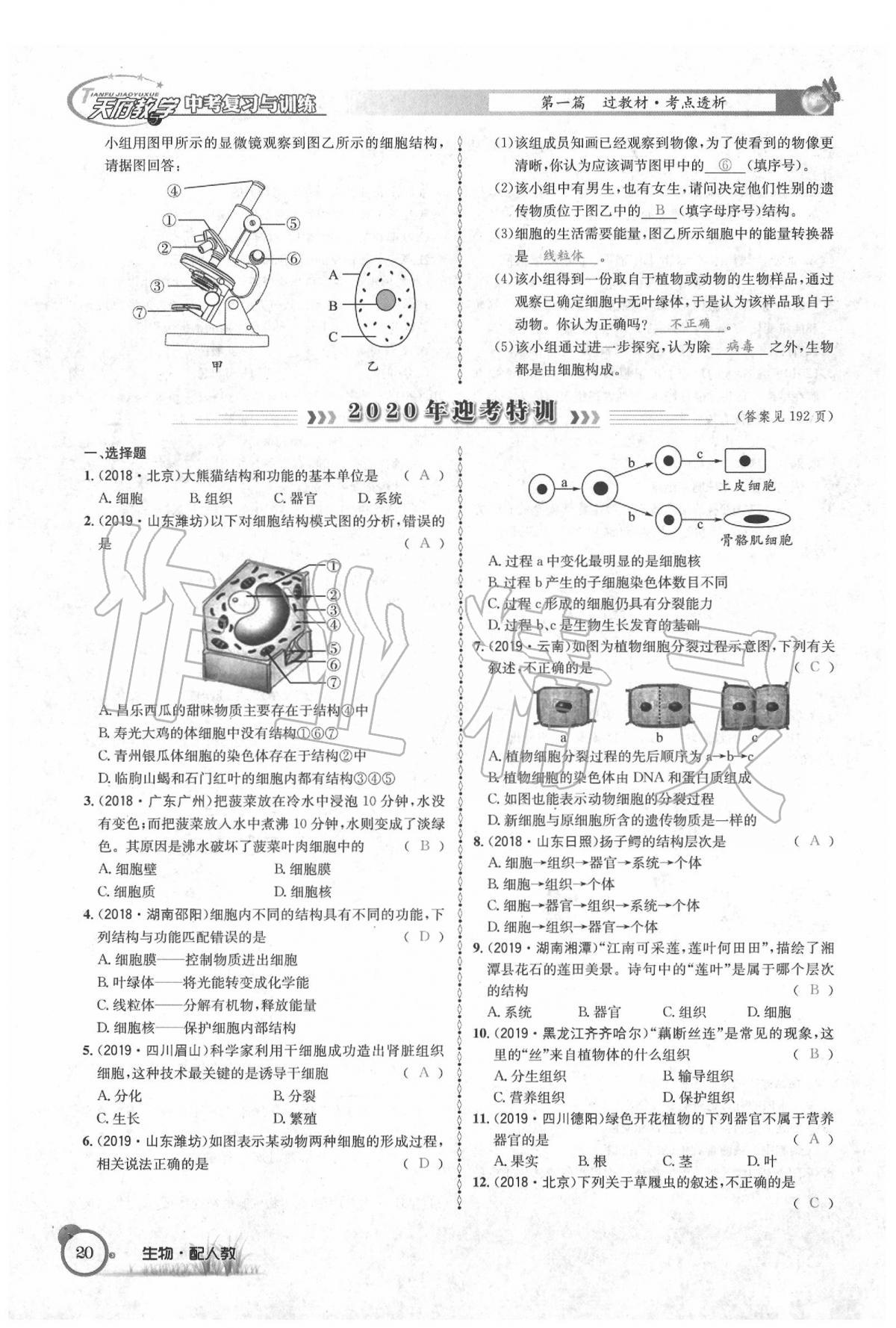 2020年天府教与学四川中考复习与训练生物人教版 第26页