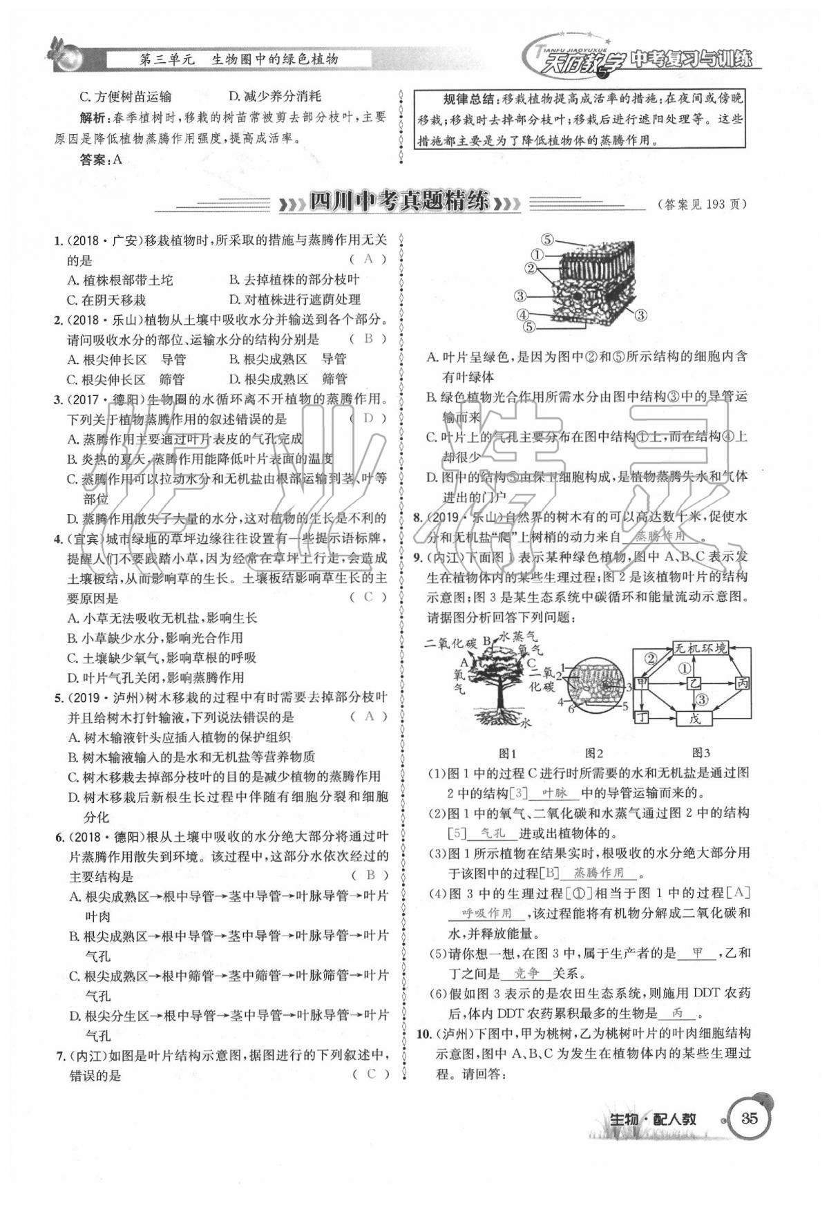 2020年天府教与学四川中考复习与训练生物人教版 第41页