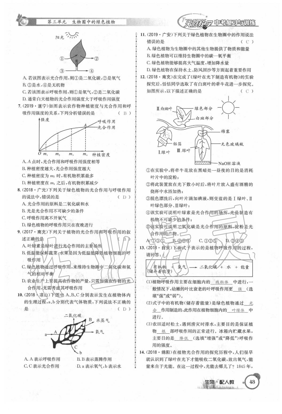 2020年天府教与学四川中考复习与训练生物人教版 第49页