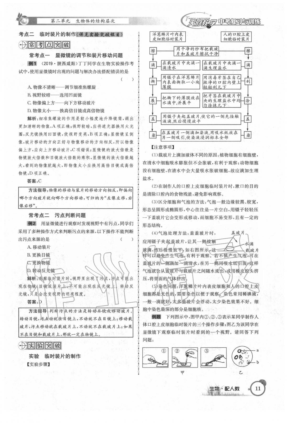 2020年天府教與學(xué)四川中考復(fù)習(xí)與訓(xùn)練生物人教版 第17頁(yè)