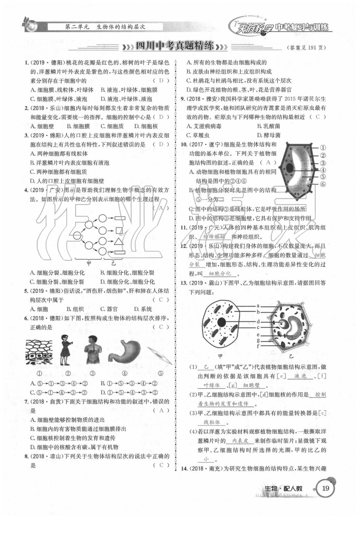 2020年天府教與學(xué)四川中考復(fù)習(xí)與訓(xùn)練生物人教版 第25頁