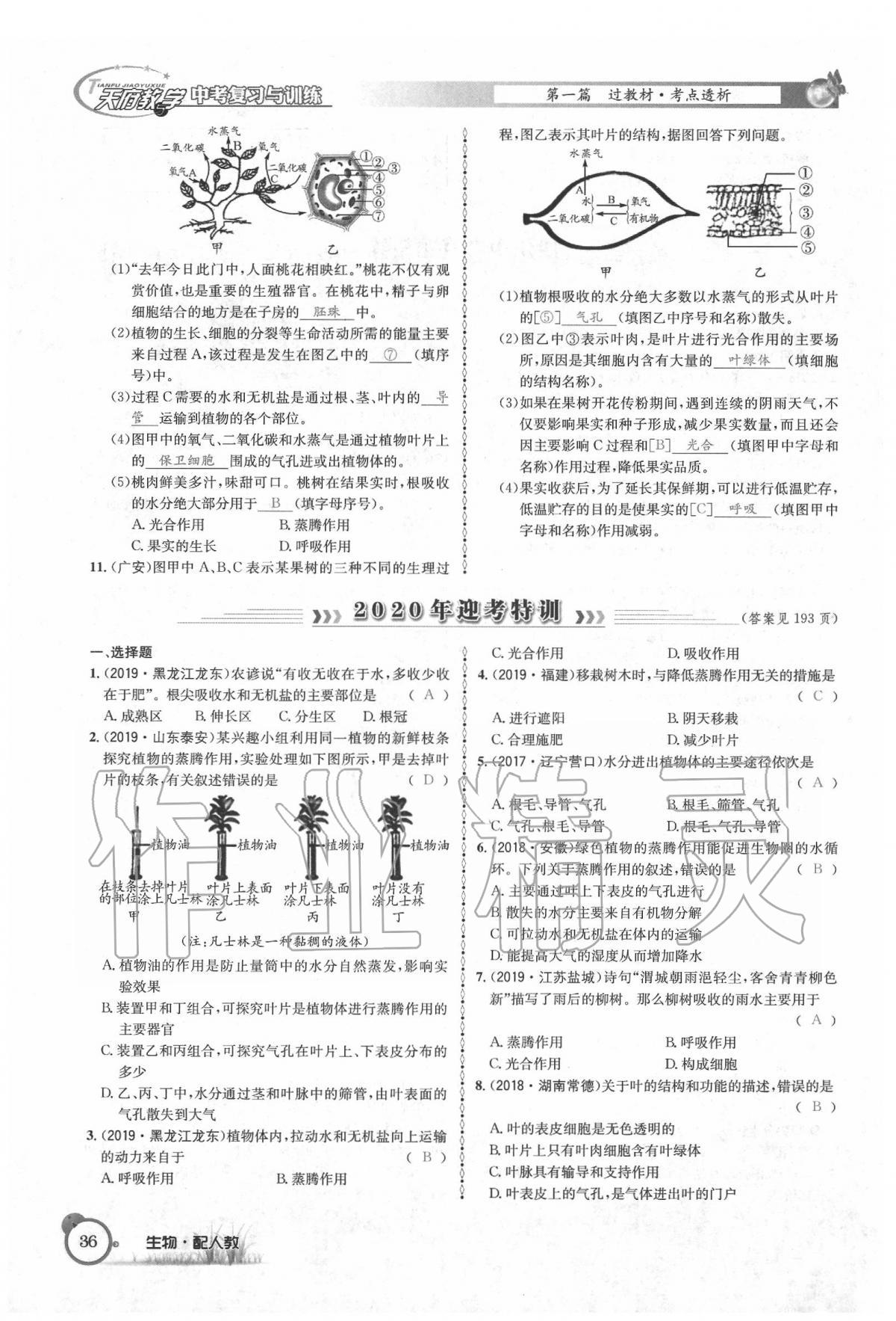 2020年天府教與學(xué)四川中考復(fù)習(xí)與訓(xùn)練生物人教版 第42頁