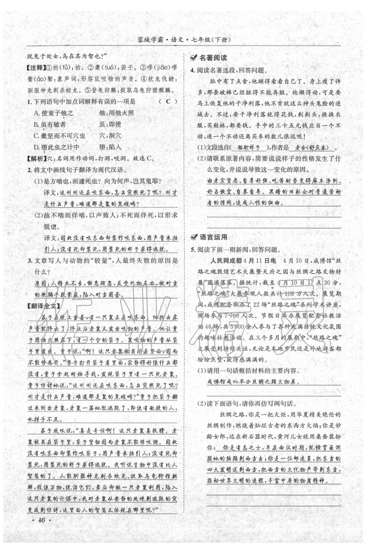 2020年蓉城學(xué)霸七年級語文下冊人教版 第48頁