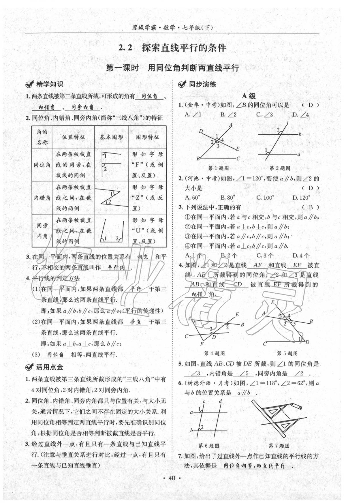 2020蓉城学霸七年级数学下册北师大版 第40页