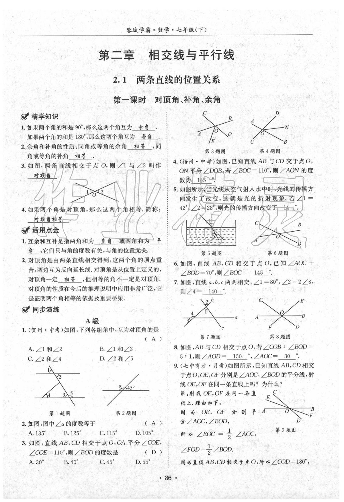 2020蓉城学霸七年级数学下册北师大版 第36页