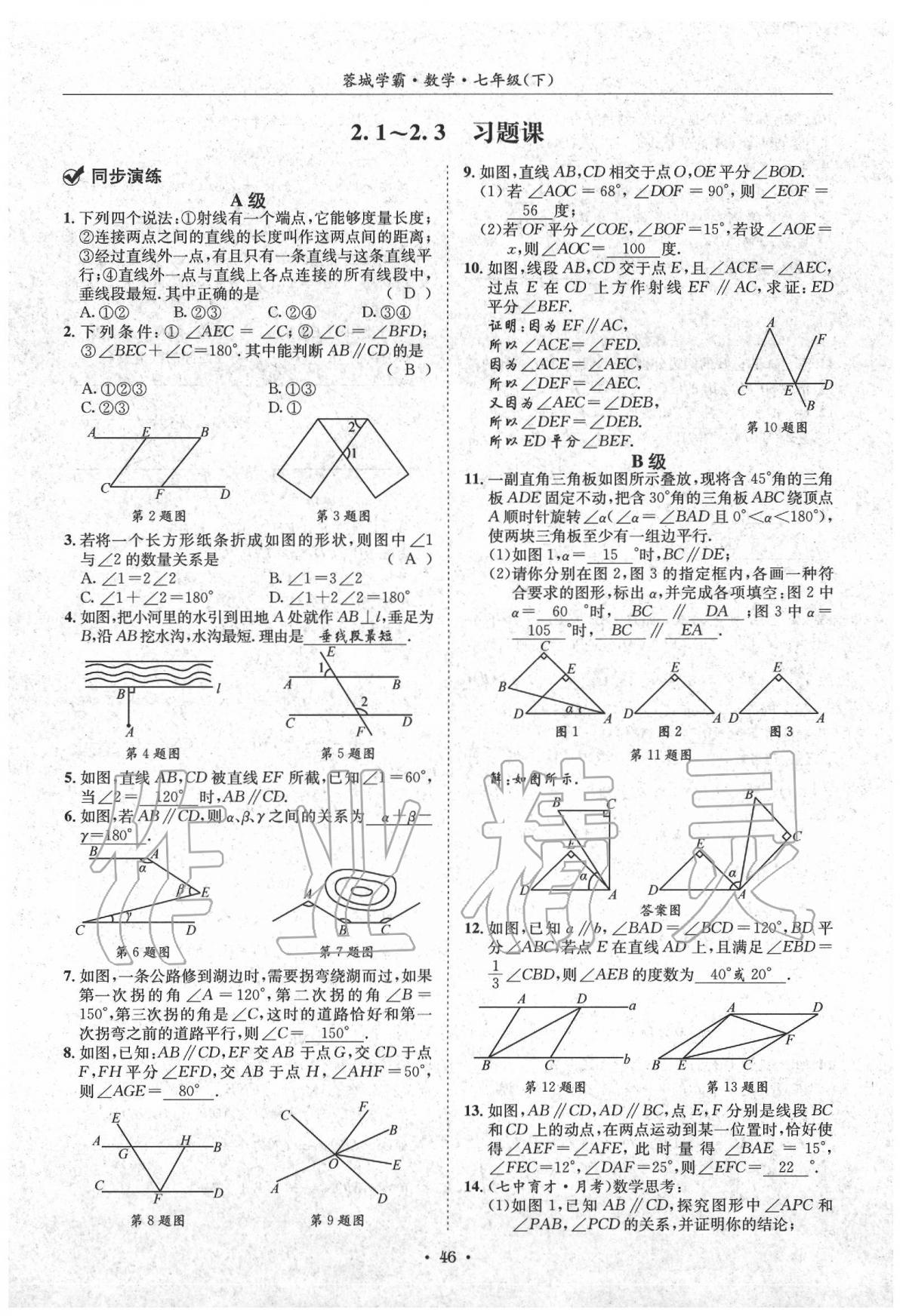 2020蓉城学霸七年级数学下册北师大版 第46页