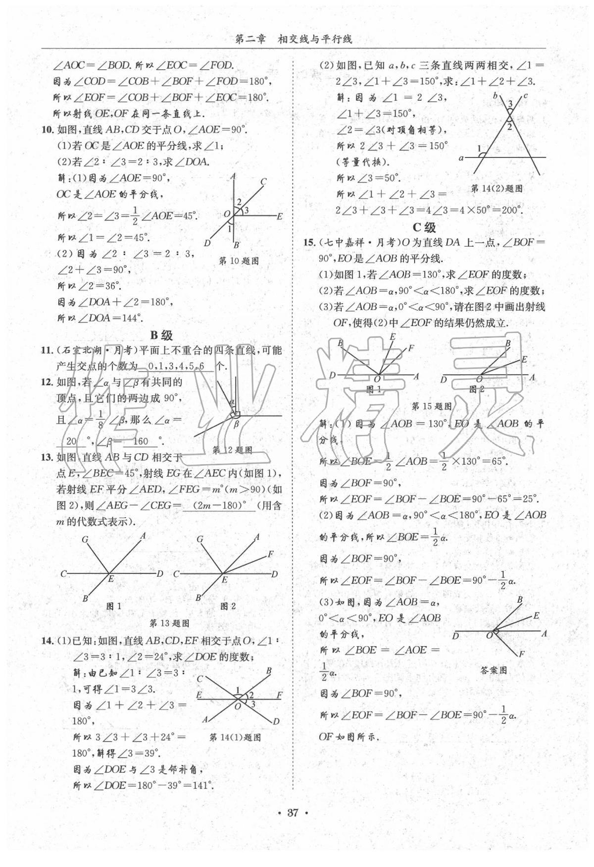 2020蓉城学霸七年级数学下册北师大版 第37页