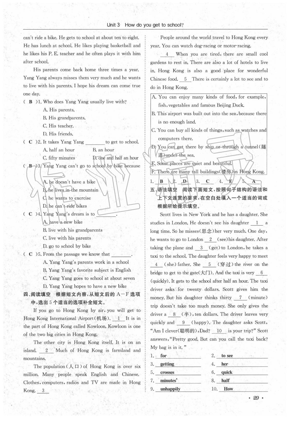 2020年蓉城學(xué)霸七年級英語下冊人教版 第29頁