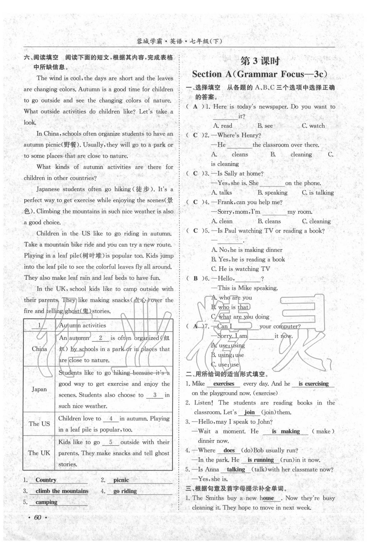 2020年蓉城學(xué)霸七年級(jí)英語(yǔ)下冊(cè)人教版 第60頁(yè)