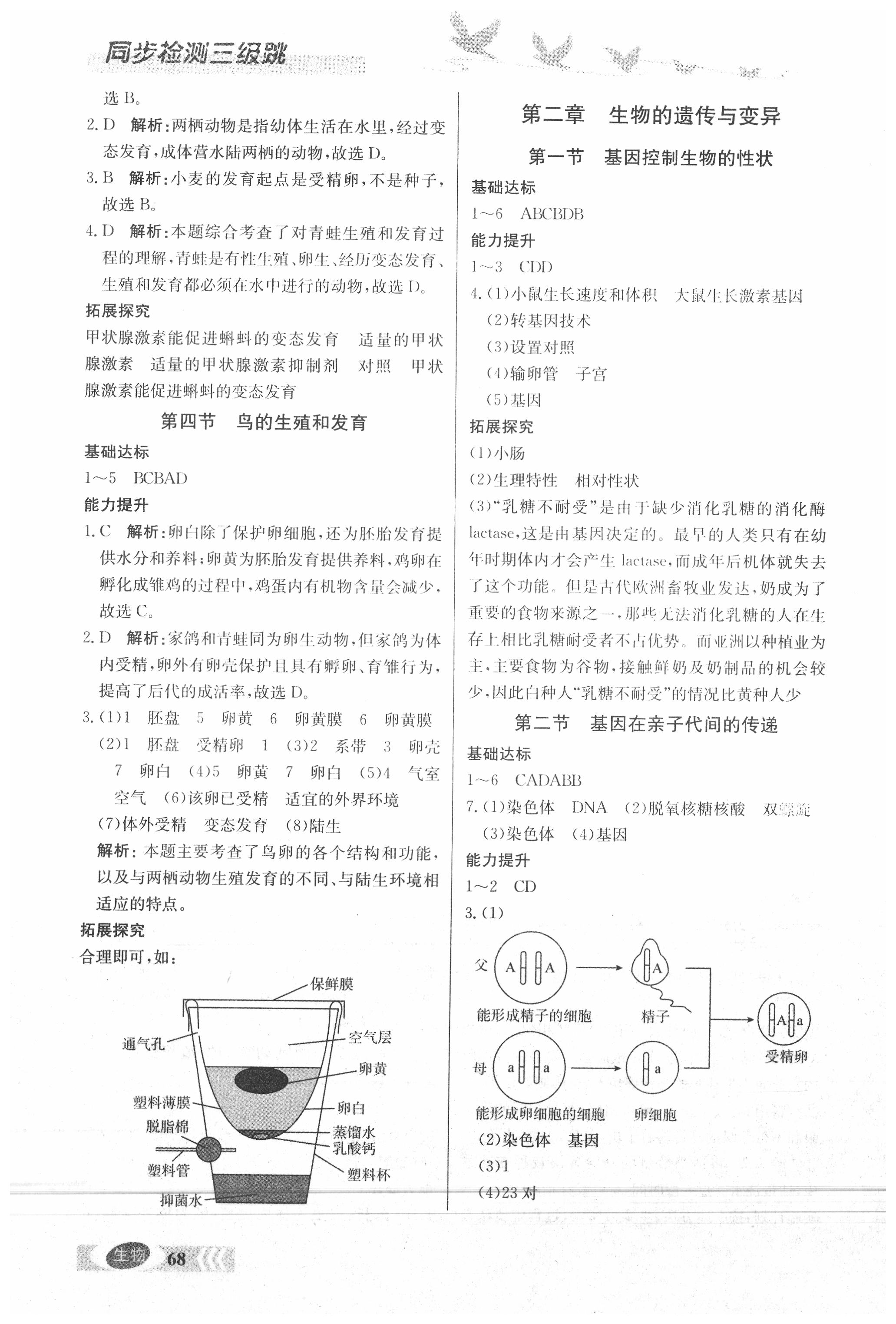 2020年同步檢測三級(jí)跳八年級(jí)生物下冊(cè)人教版 第2頁