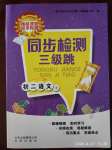 2020年同步檢測(cè)三級(jí)跳八年級(jí)語文下冊(cè)人教版