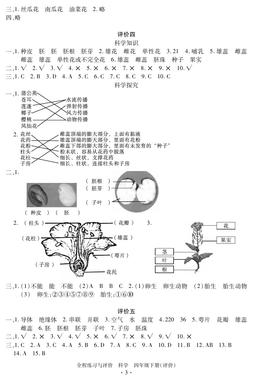 2020年全程练习与评价四年级科学下册教科版评价专版 参考答案第3页